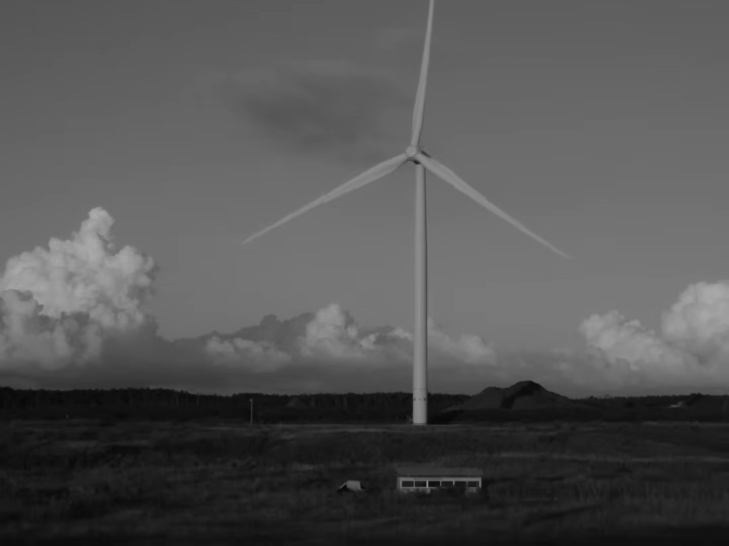 Sunlight (2025) —  shot,  lighting