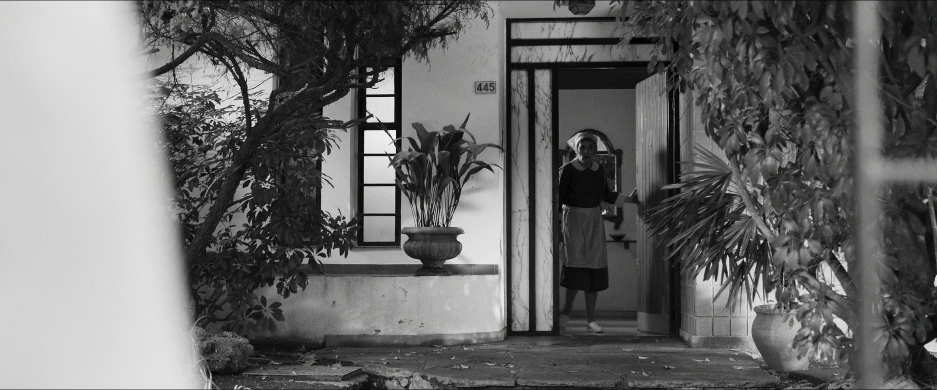 The Attachment Diaries (2021) —  shot,  lighting