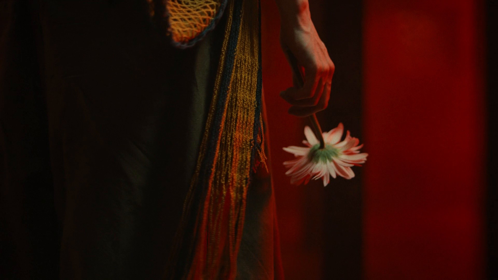 Zara - The Color of the Night (2025) —  shot,  lighting