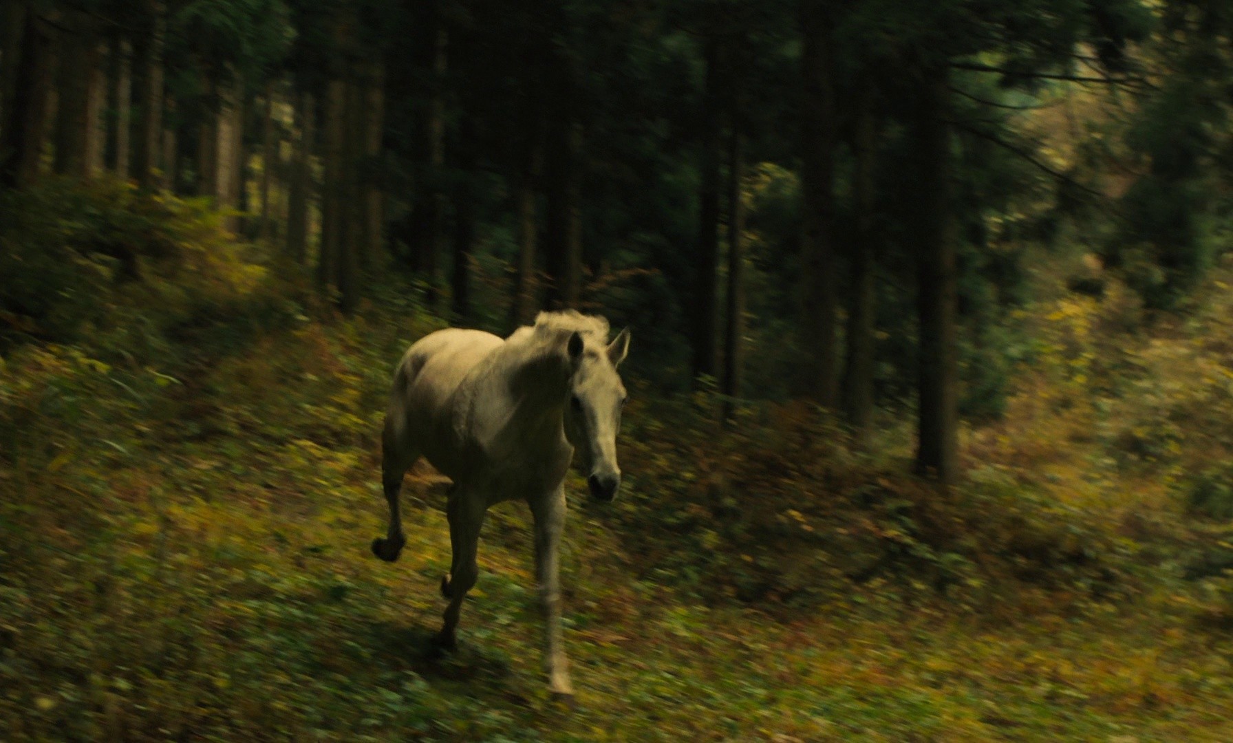 Yumeji (1991) —  shot,  lighting