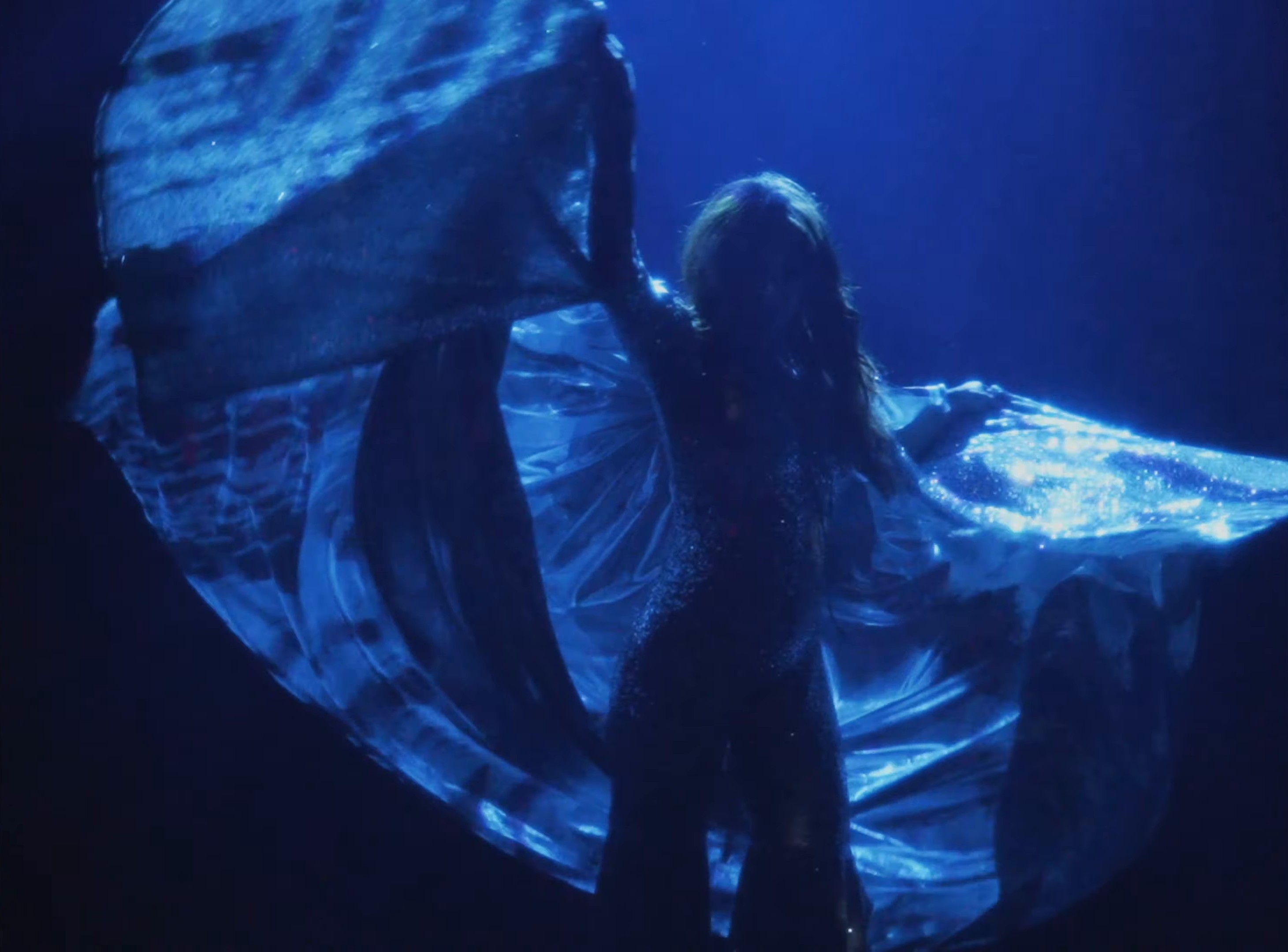 Disco Witch (2024) —  shot,  lighting