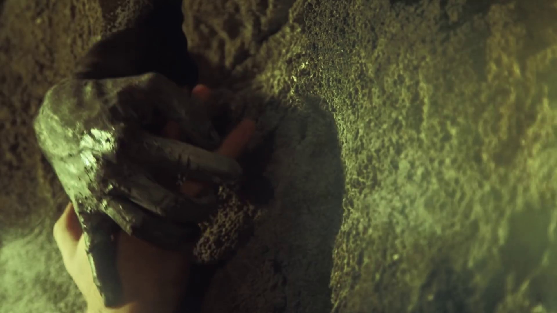 Can't Stop Me Now (2010) —  shot,  lighting