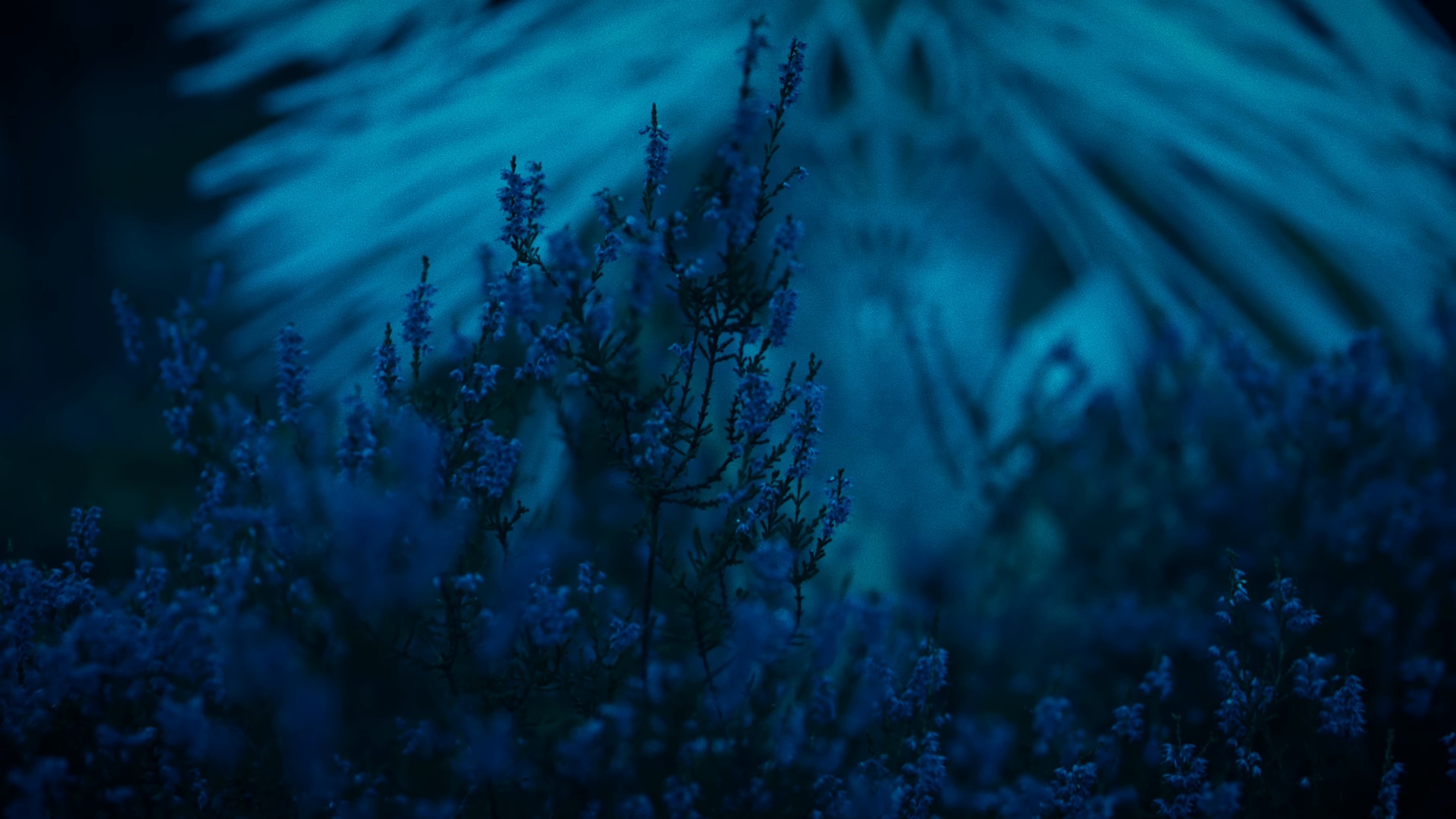 Under Water (2024) —  shot,  lighting