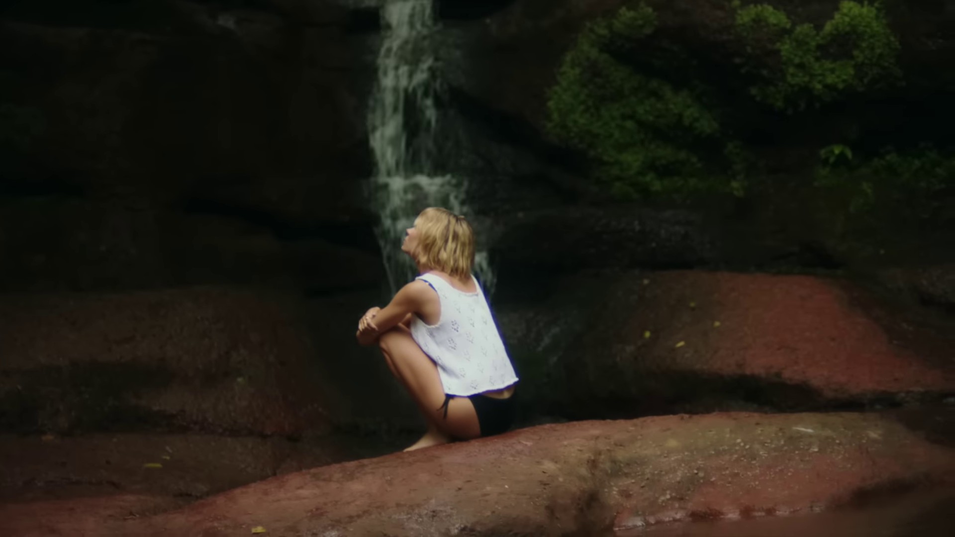 I Should Be A Bird  (2022) —  shot,  lighting