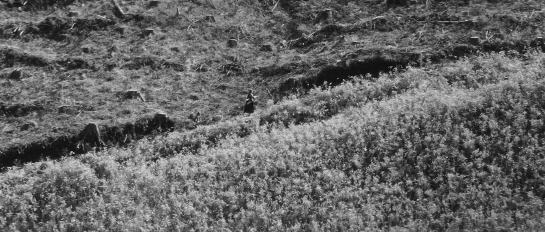 Samurai Rebellion (1967) —  shot,  lighting