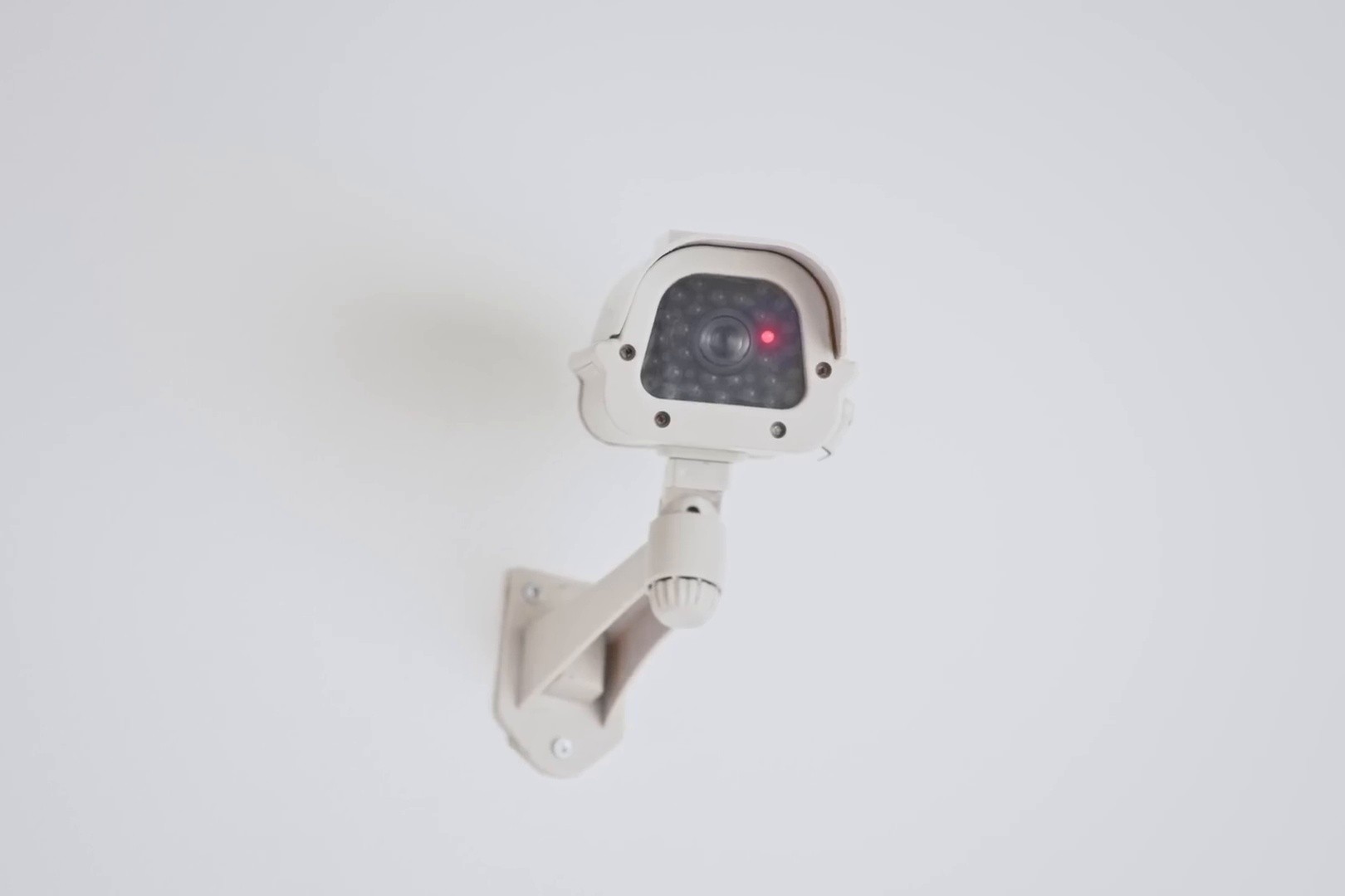 Le lapin blanc (2025) —  shot,  lighting