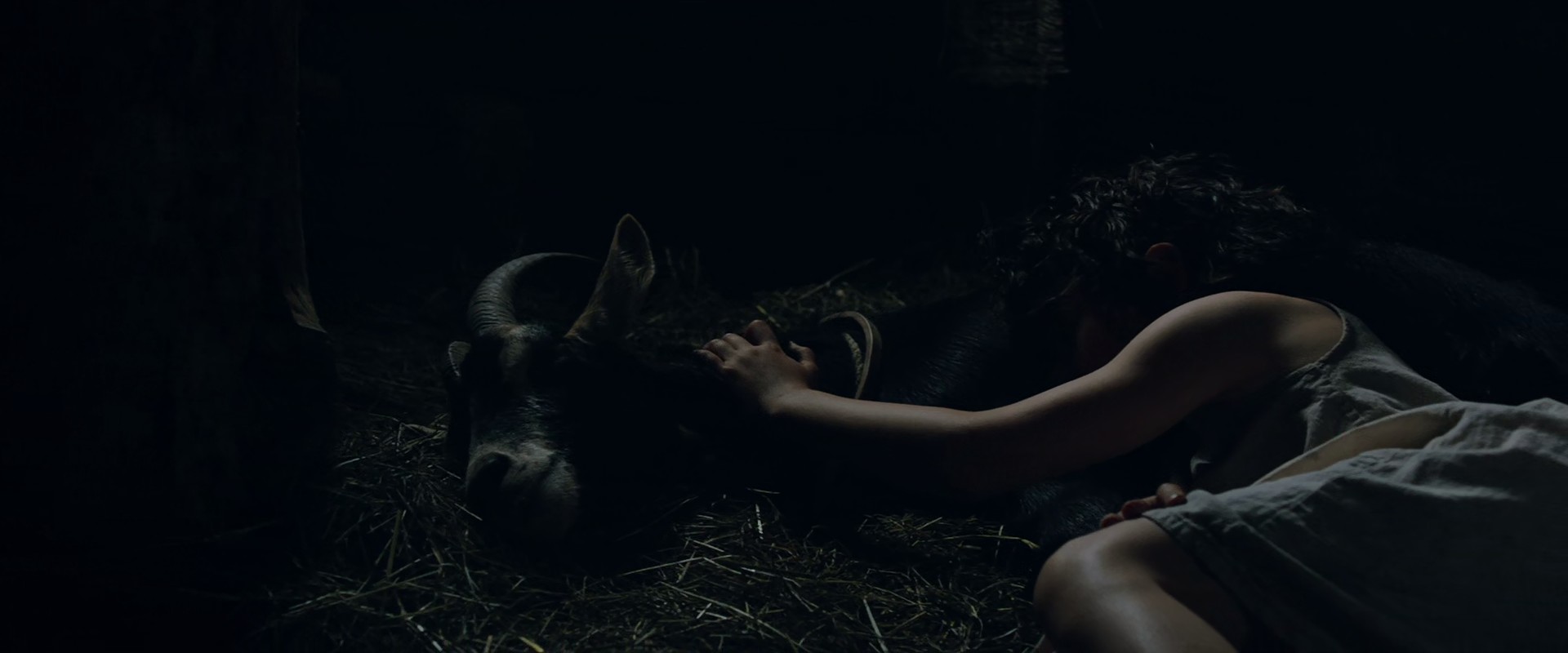 Heidi (2015) —  shot,  lighting