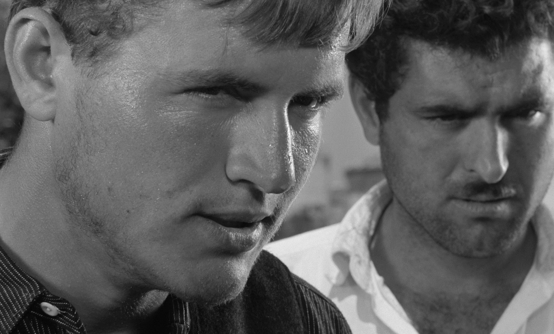 Zorba the Greek (1965) —  shot,  lighting