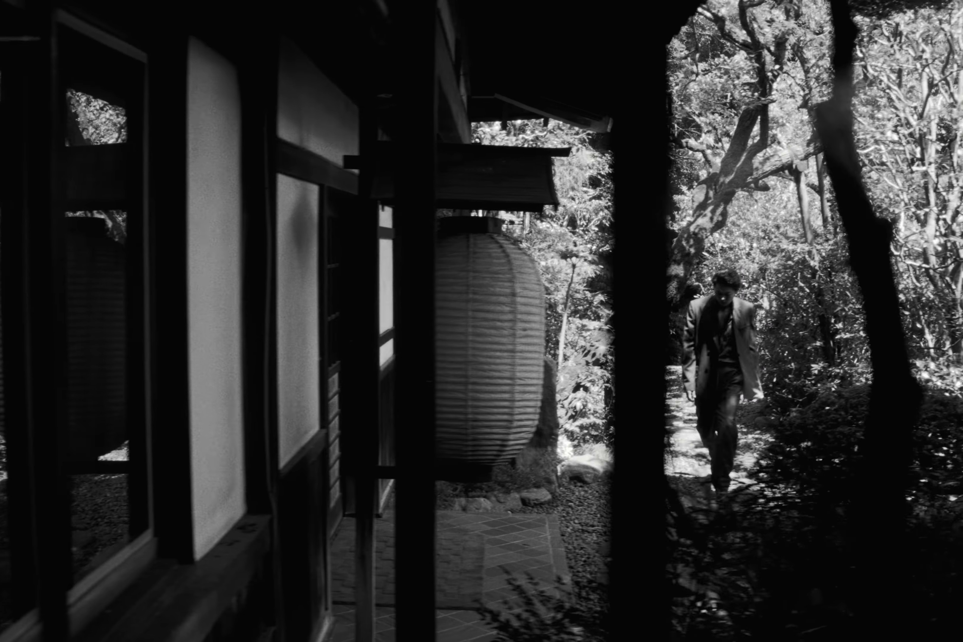 Mamushi (2024) —  shot,  lighting