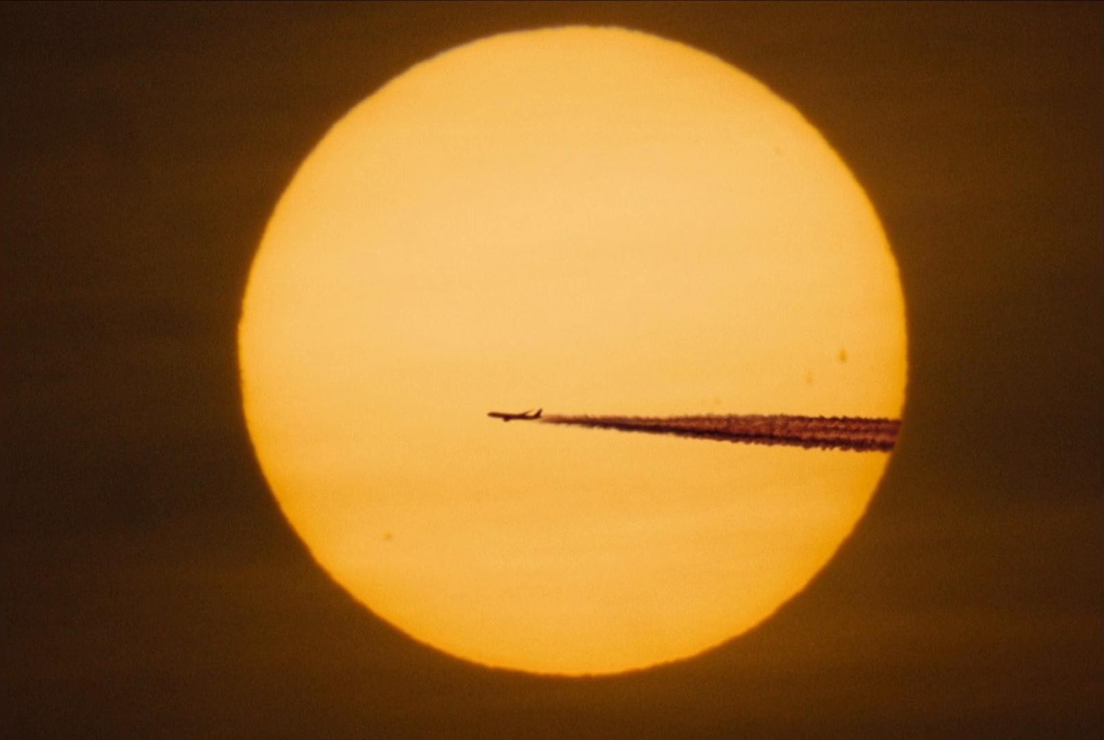 ANYCATION - STRAWBERRY (2025) —  shot,  lighting