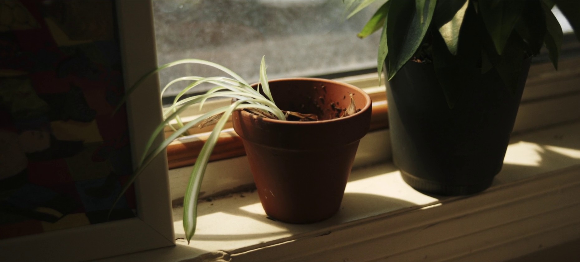 Legends  (2018) —  shot,  lighting