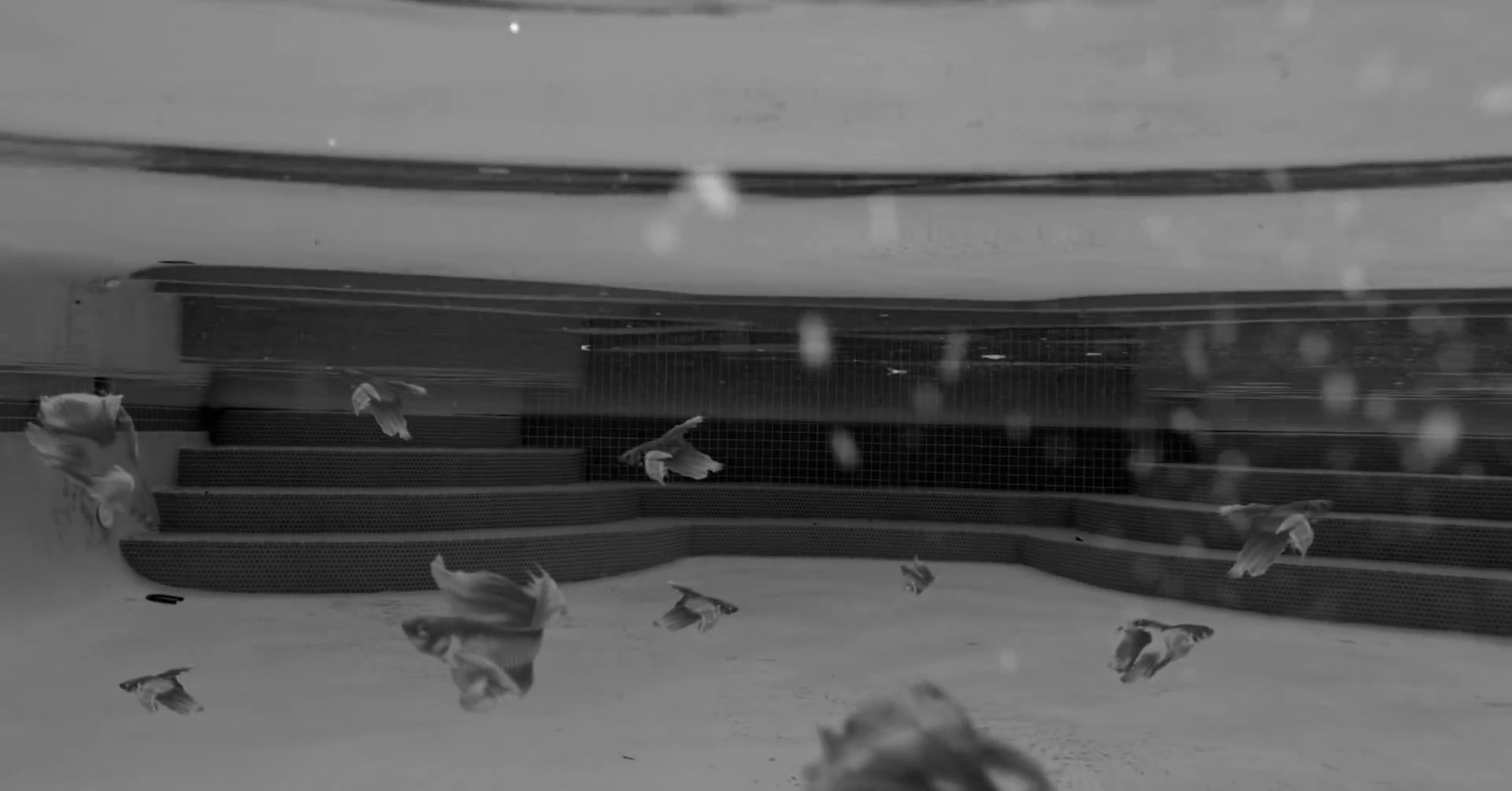 WAKE UP (2019) —  shot,  lighting