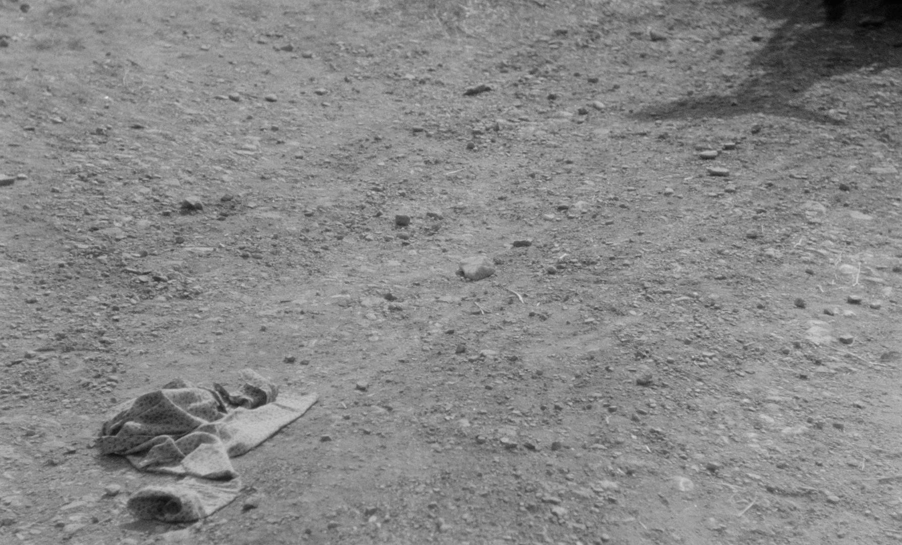 Au hasard Balthazar (1966) —  shot,  lighting