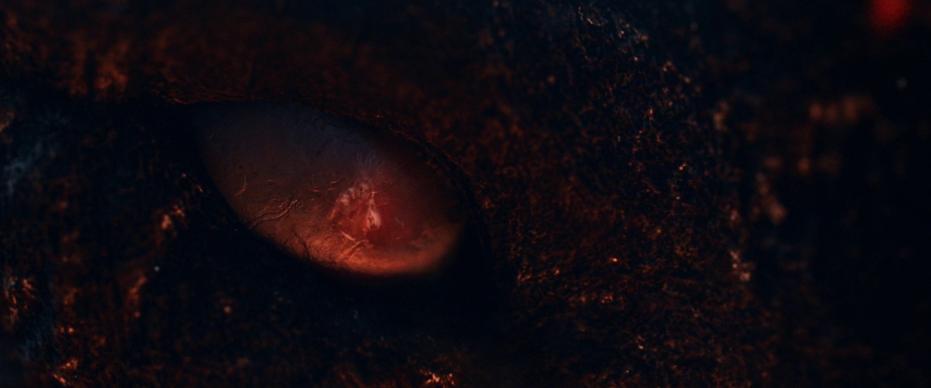 Lemon Scented You (2017) —  shot,  lighting