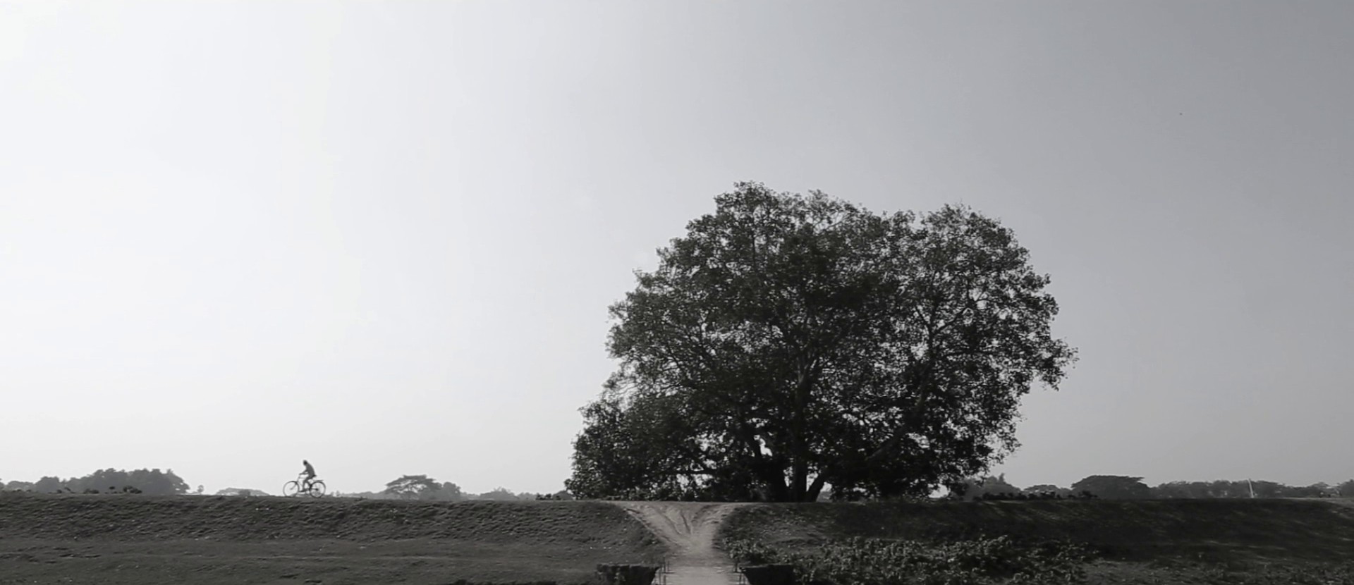 Adieu Godard (2022) —  shot,  lighting