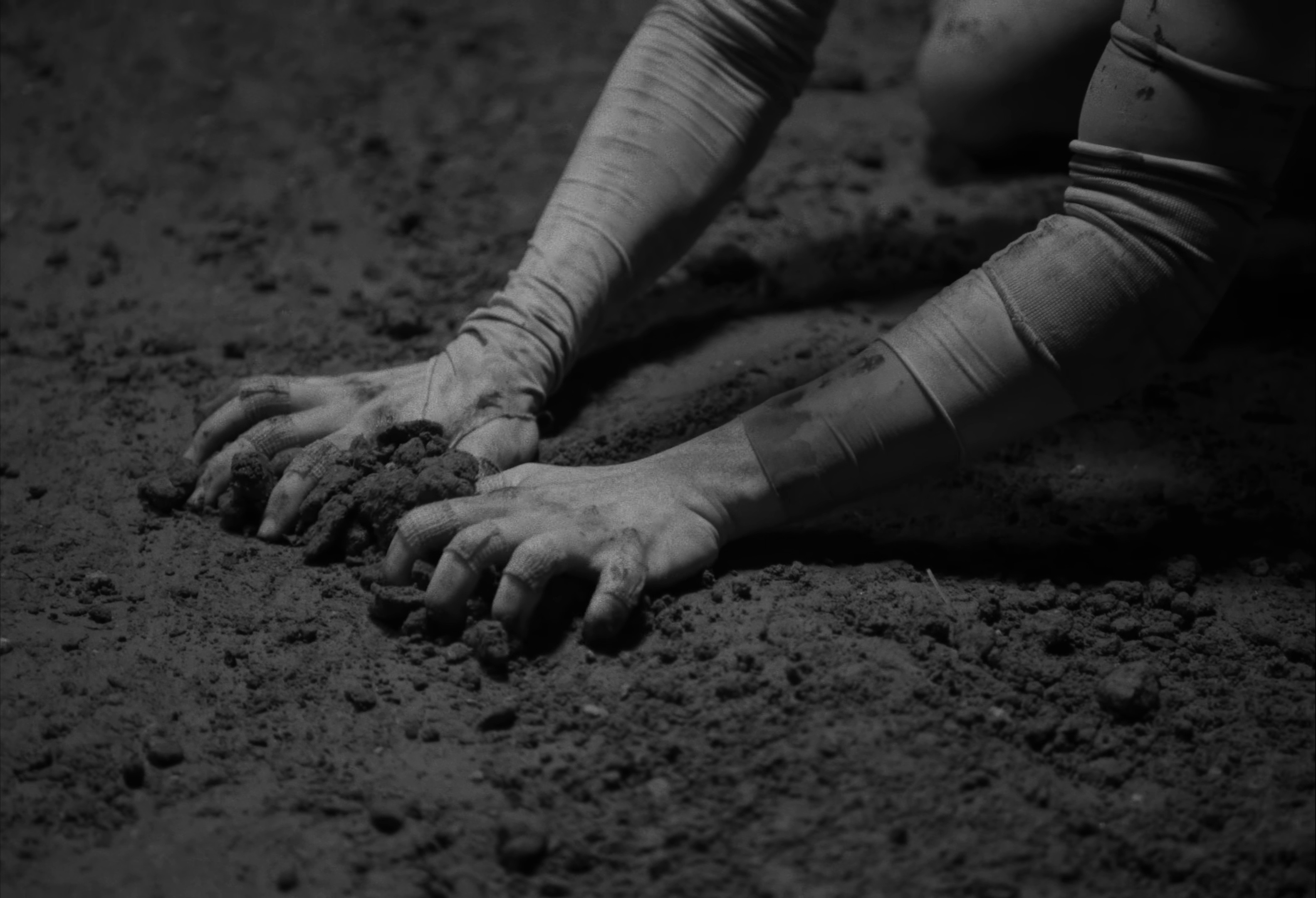 Open Fields (2025) —  shot,  lighting