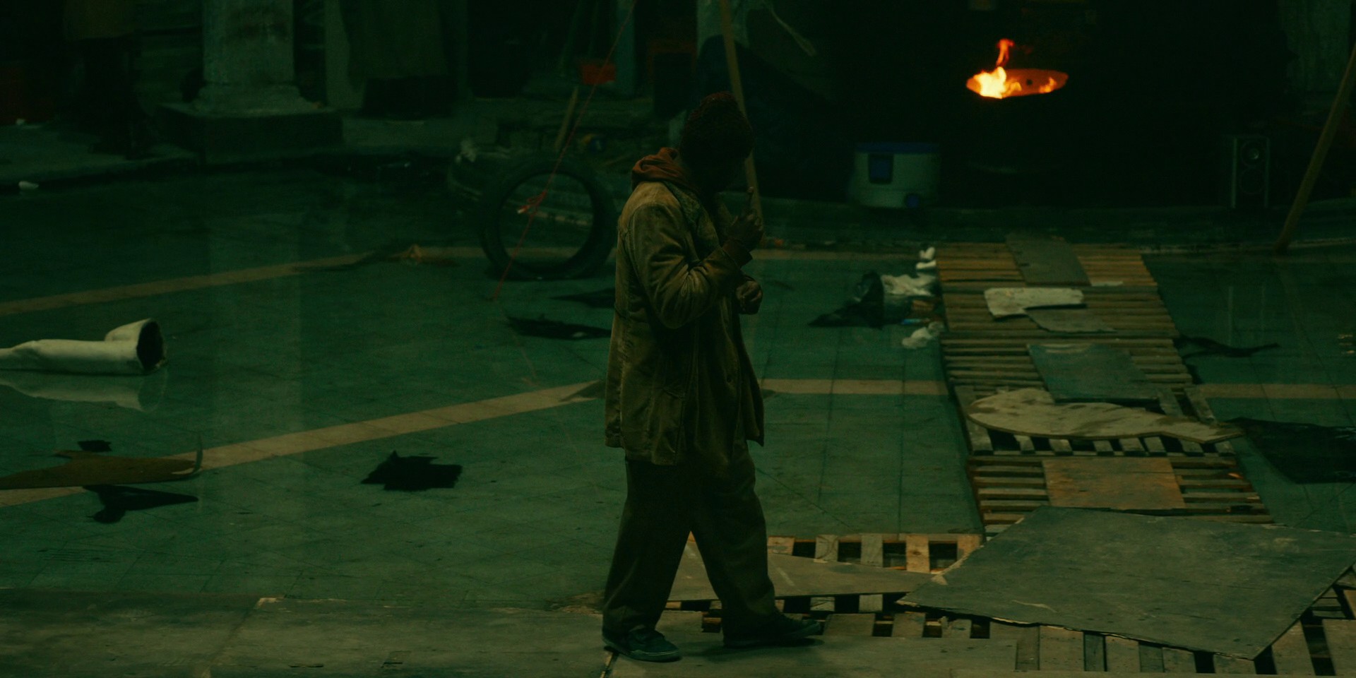 Foxes and Coyotes (2021) —  shot,  lighting