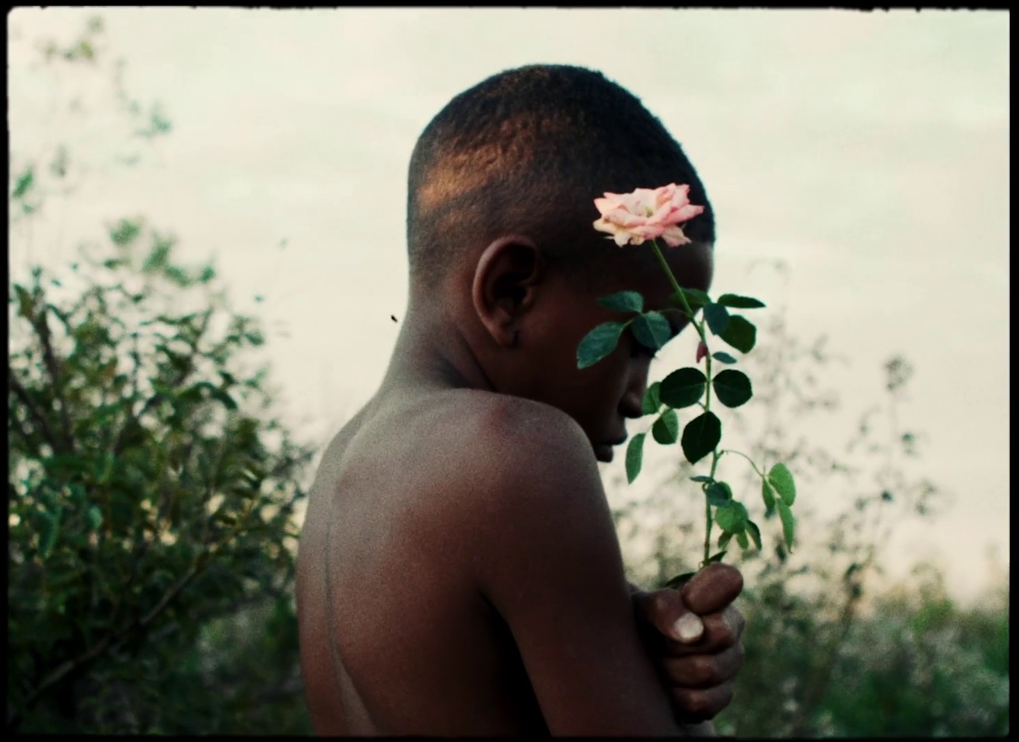 Ciclos (2020) —  shot,  lighting