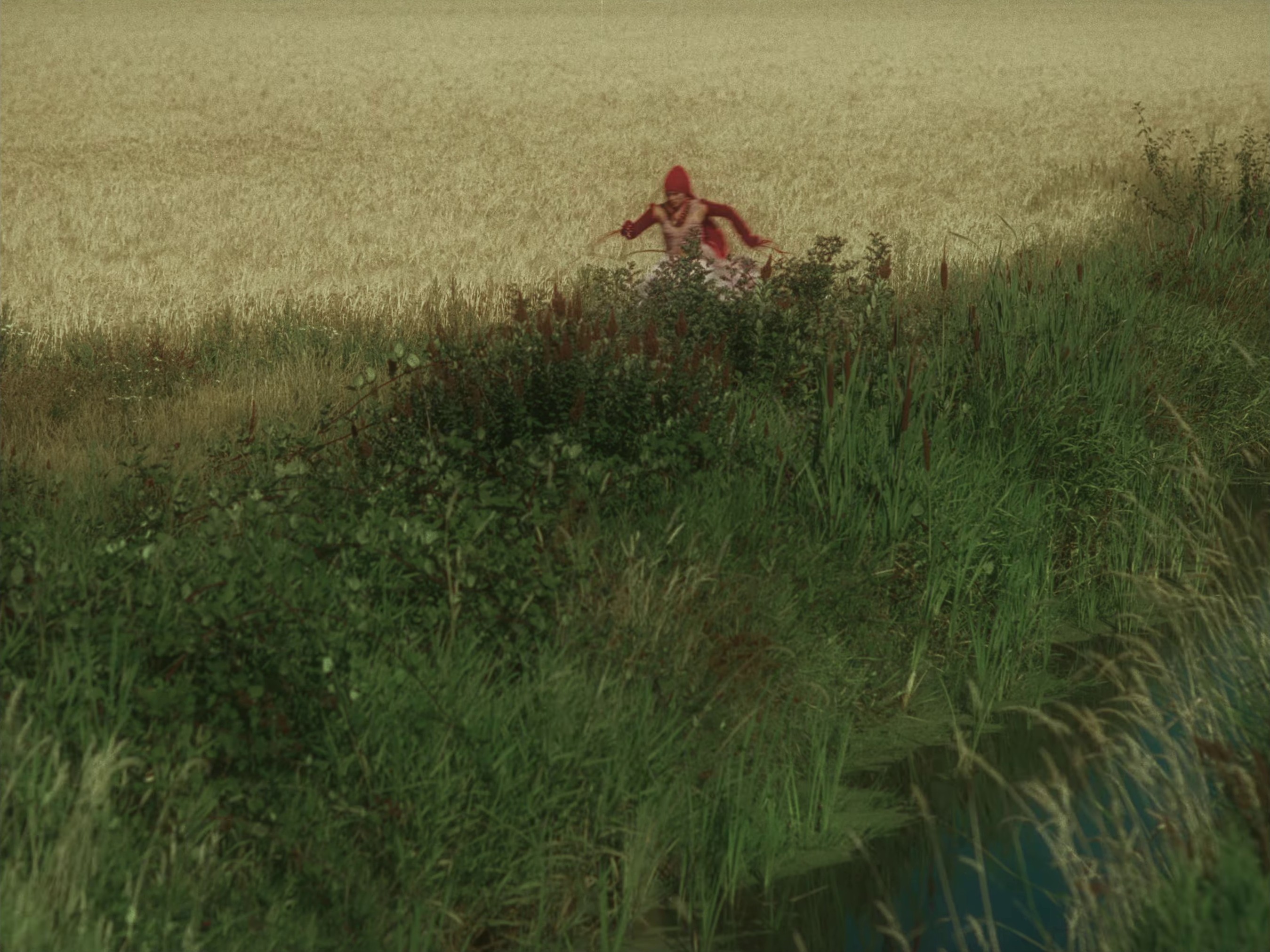 AA BOUQUET FOR YOUR 180 FACE (2024) —  shot,  lighting