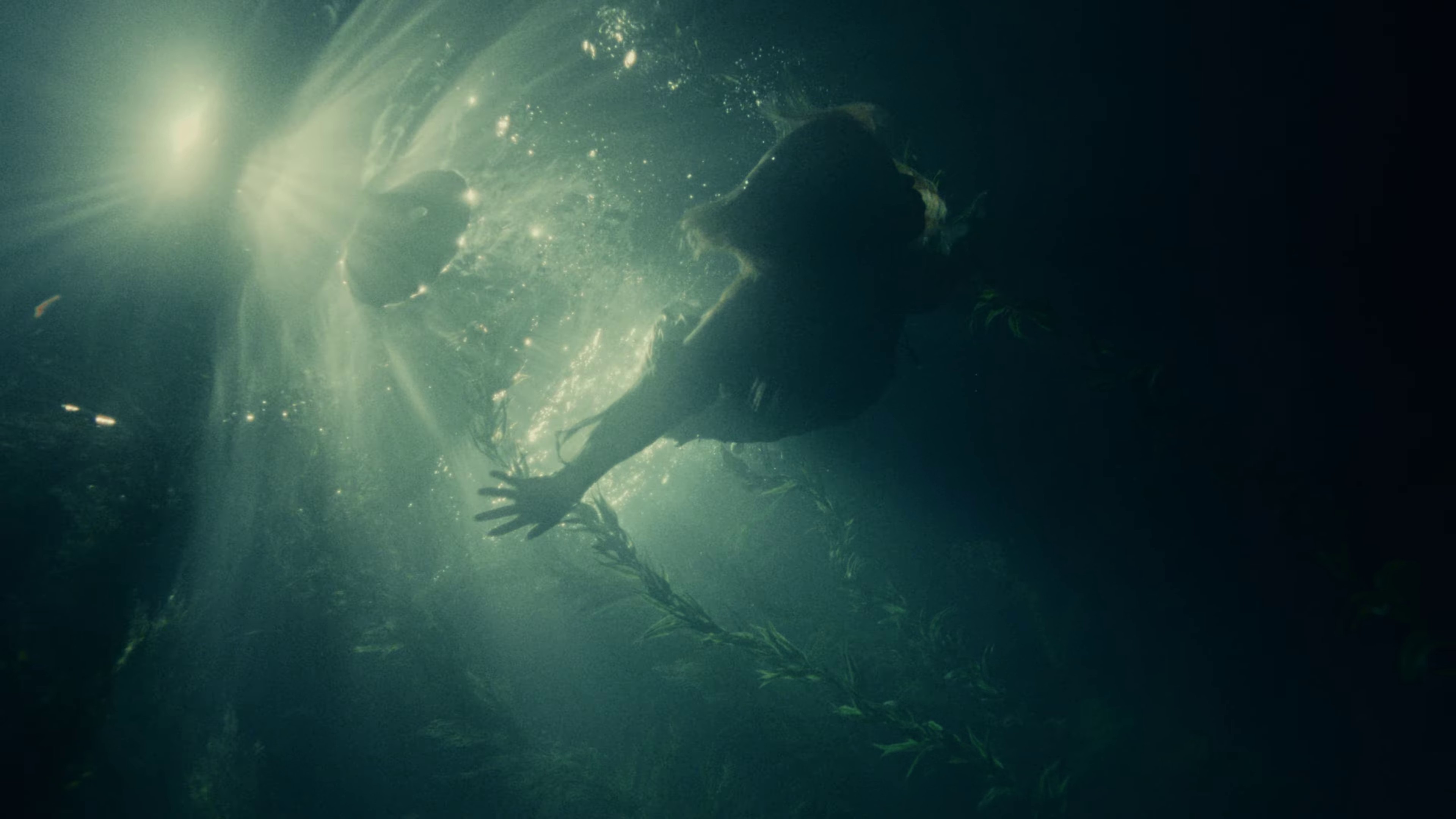 Your face (2023) —  shot,  lighting