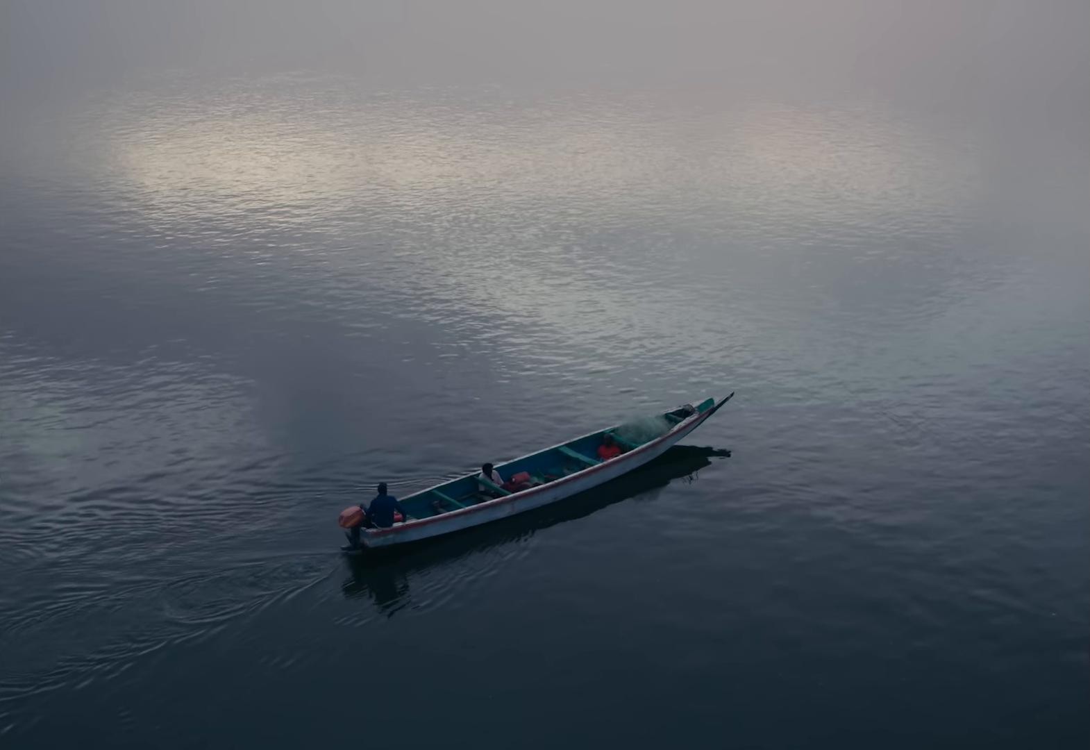 Patience (with Amadou & Mariam) (2025) —  shot,  lighting