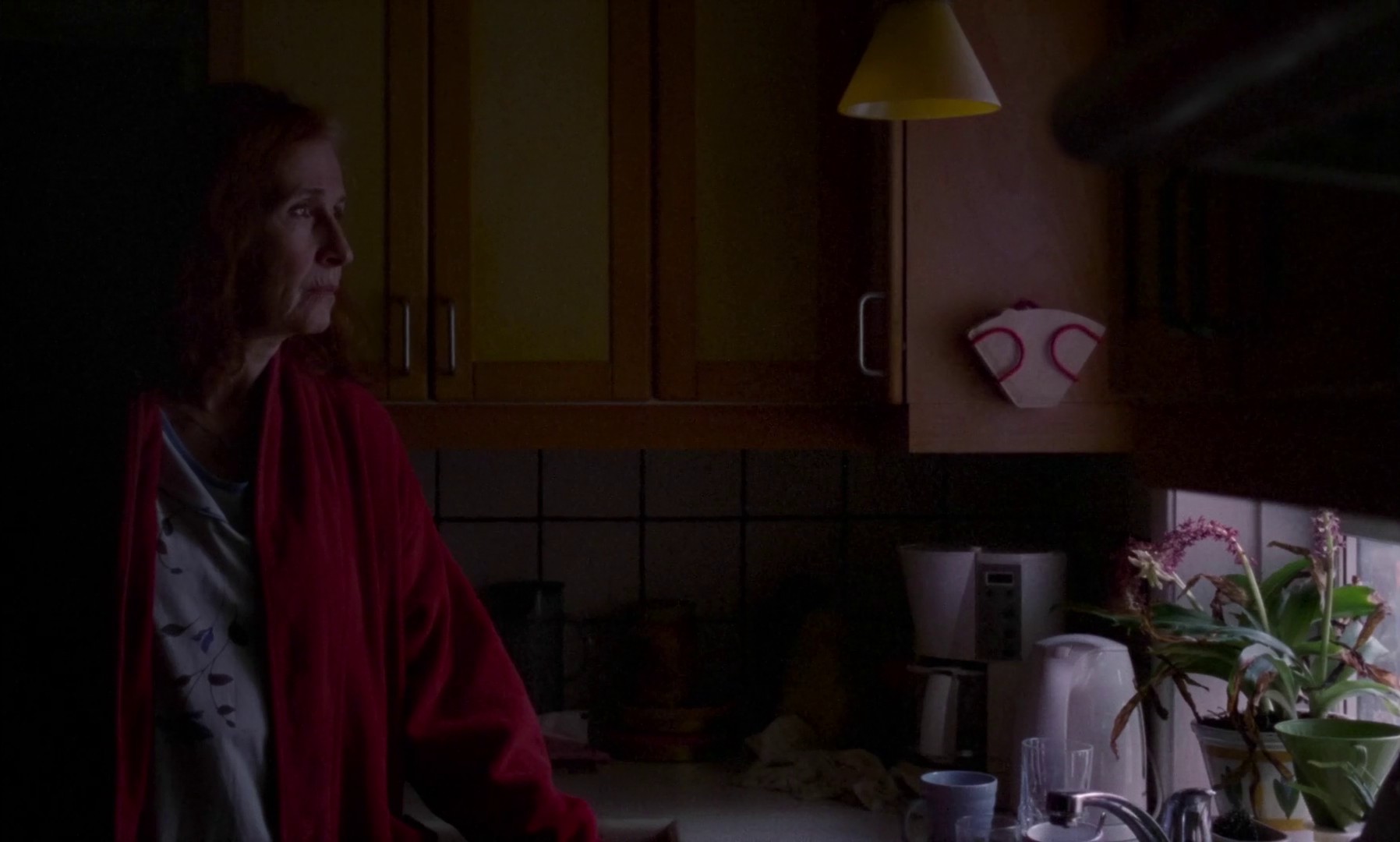 The Quiet Migration (2023) —  shot,  lighting