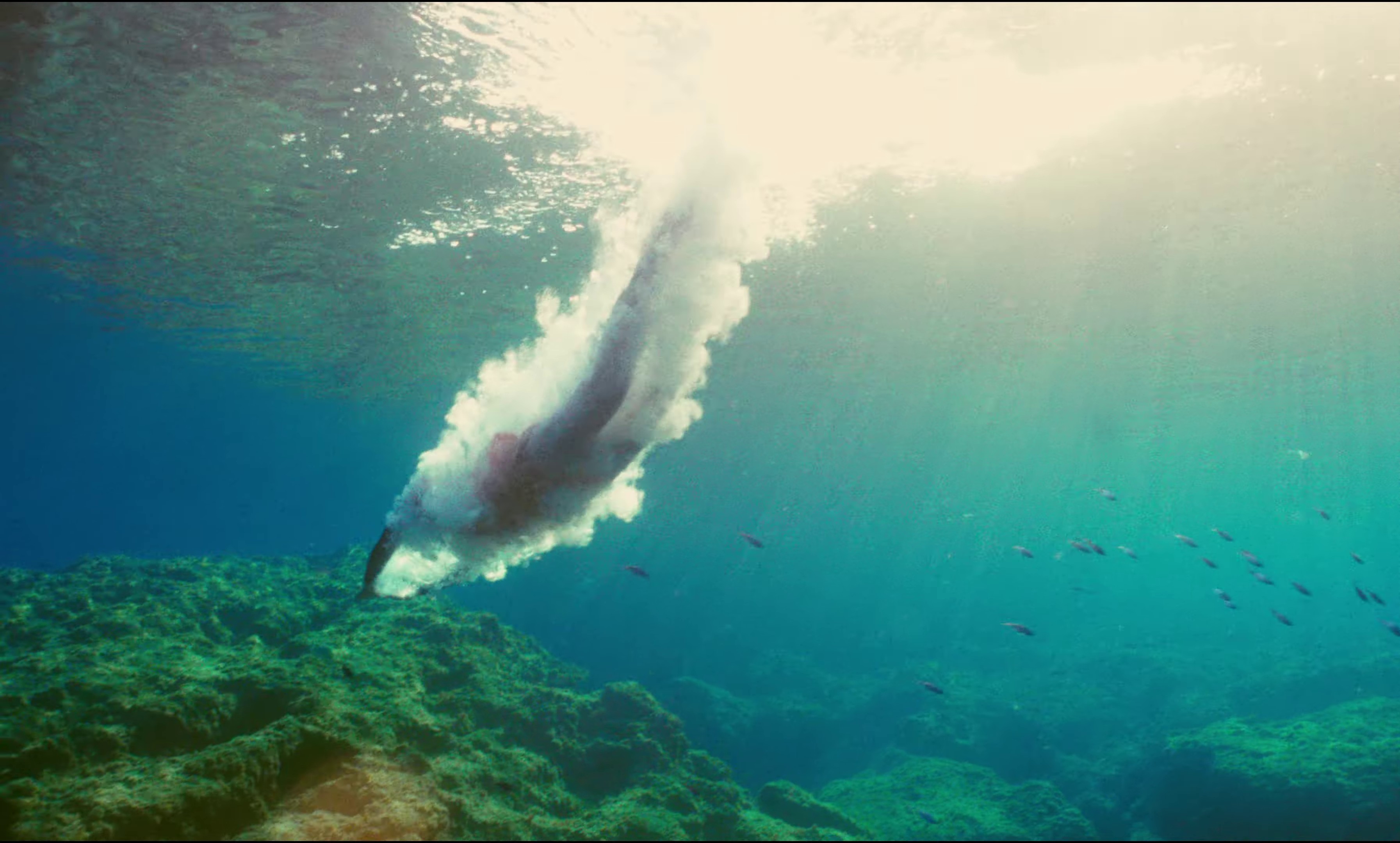 L'été (2023) —  shot,  lighting