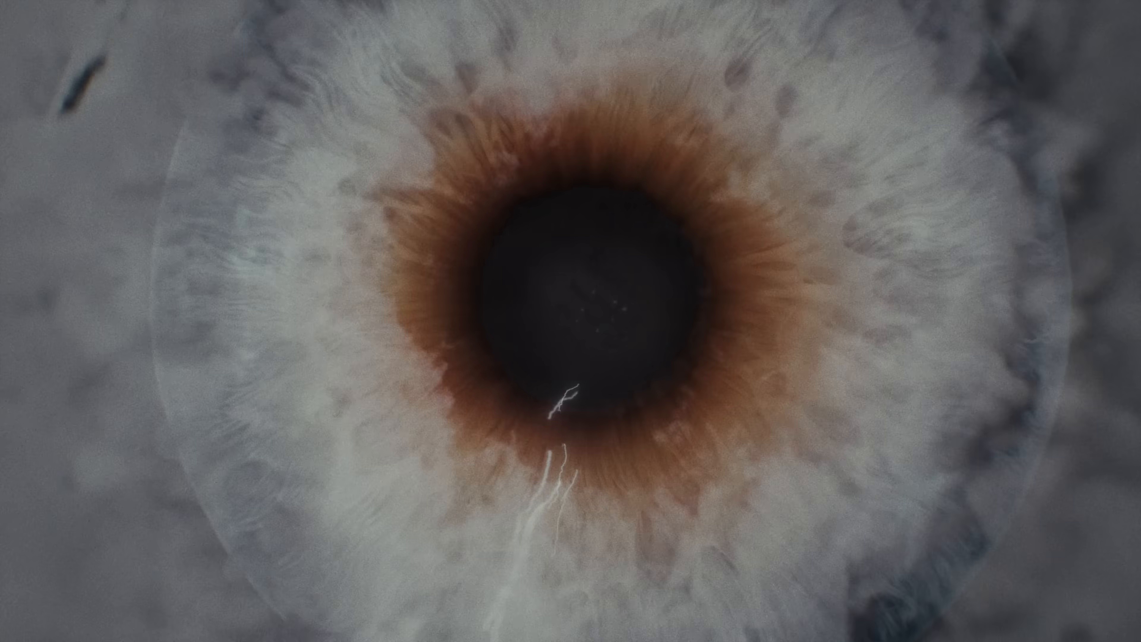 SOB (2025) —  shot,  lighting