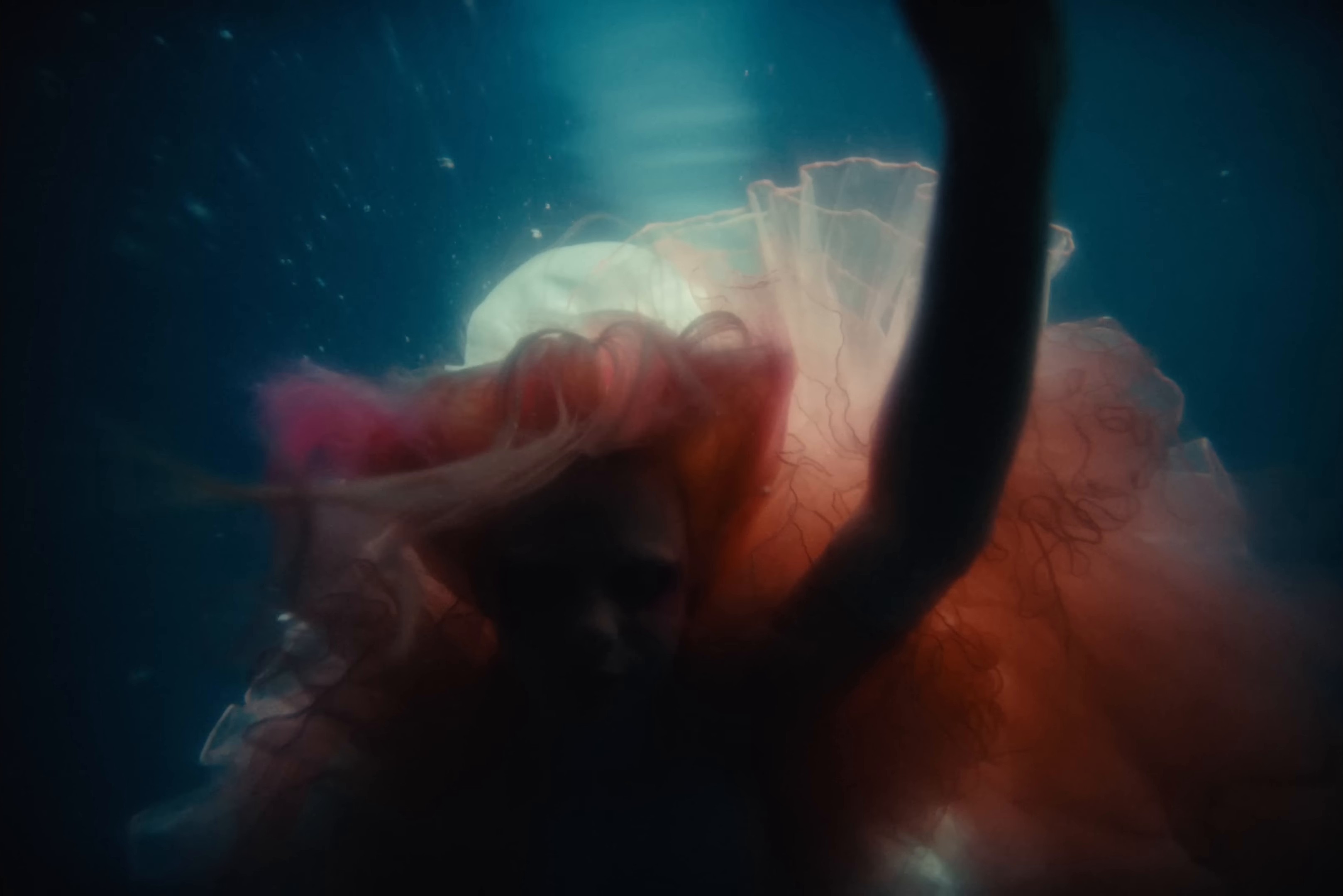 Feel My Feelings (2024) —  shot,  lighting