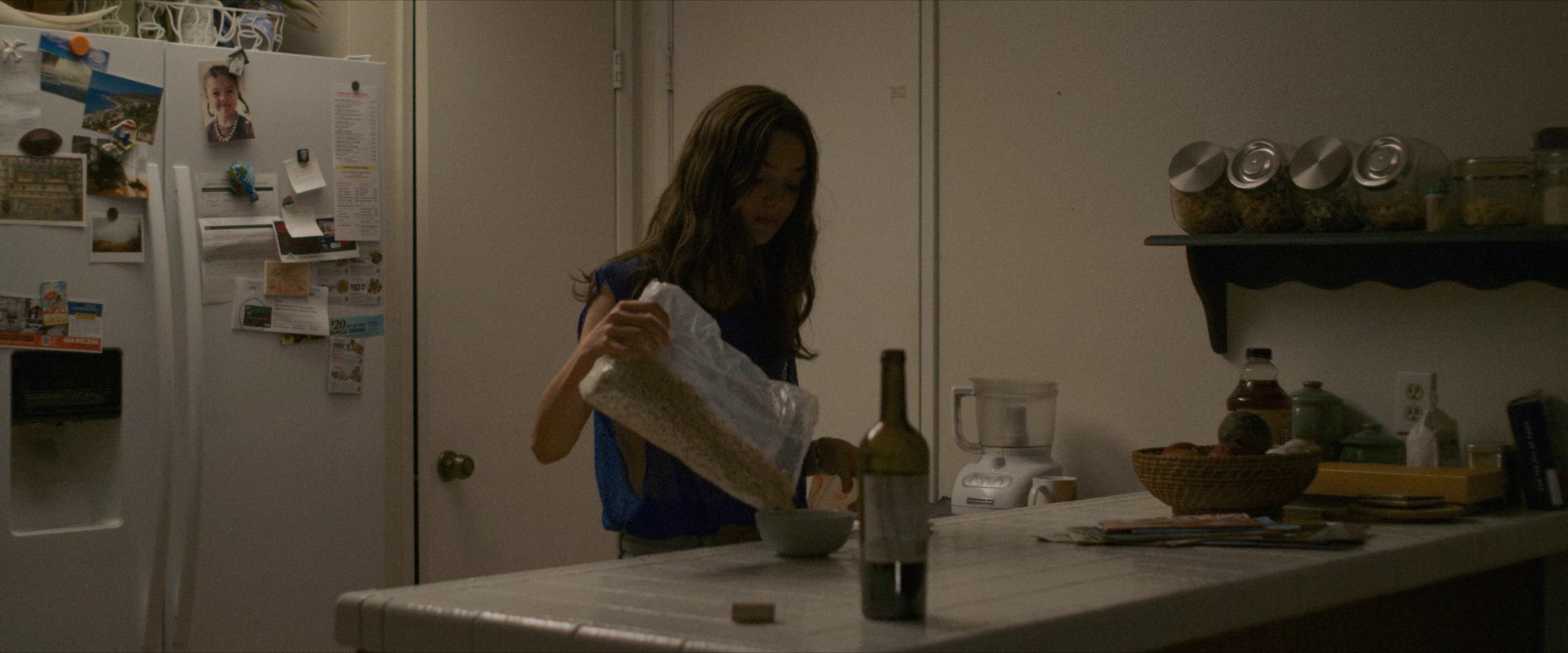 Palm Trees and Power Lines (2023) —  shot,  lighting