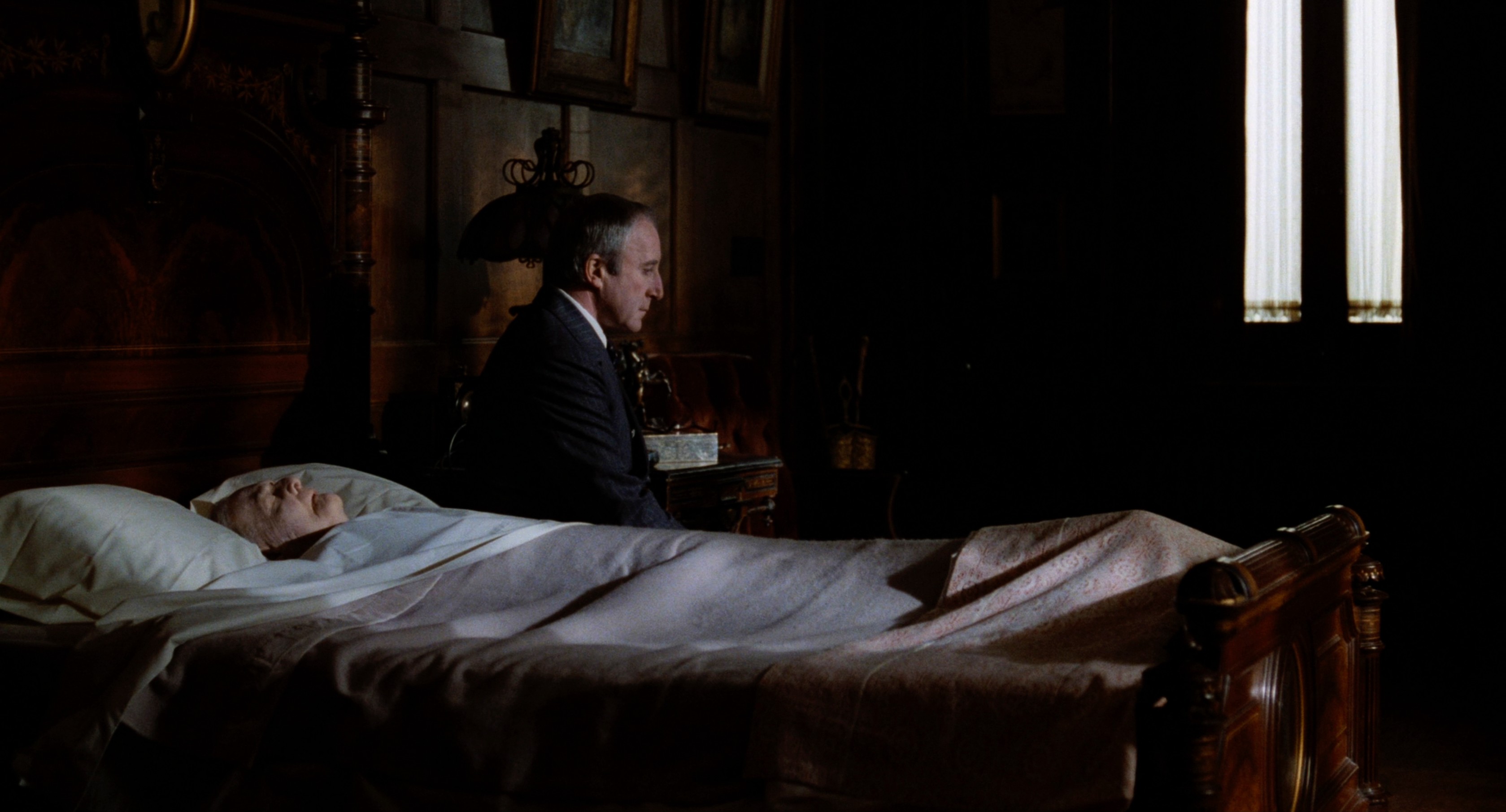 Being There (1979) —  shot,  lighting