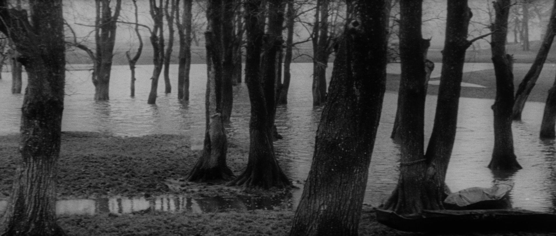 Andrei Rublev (1973) —  shot,  lighting