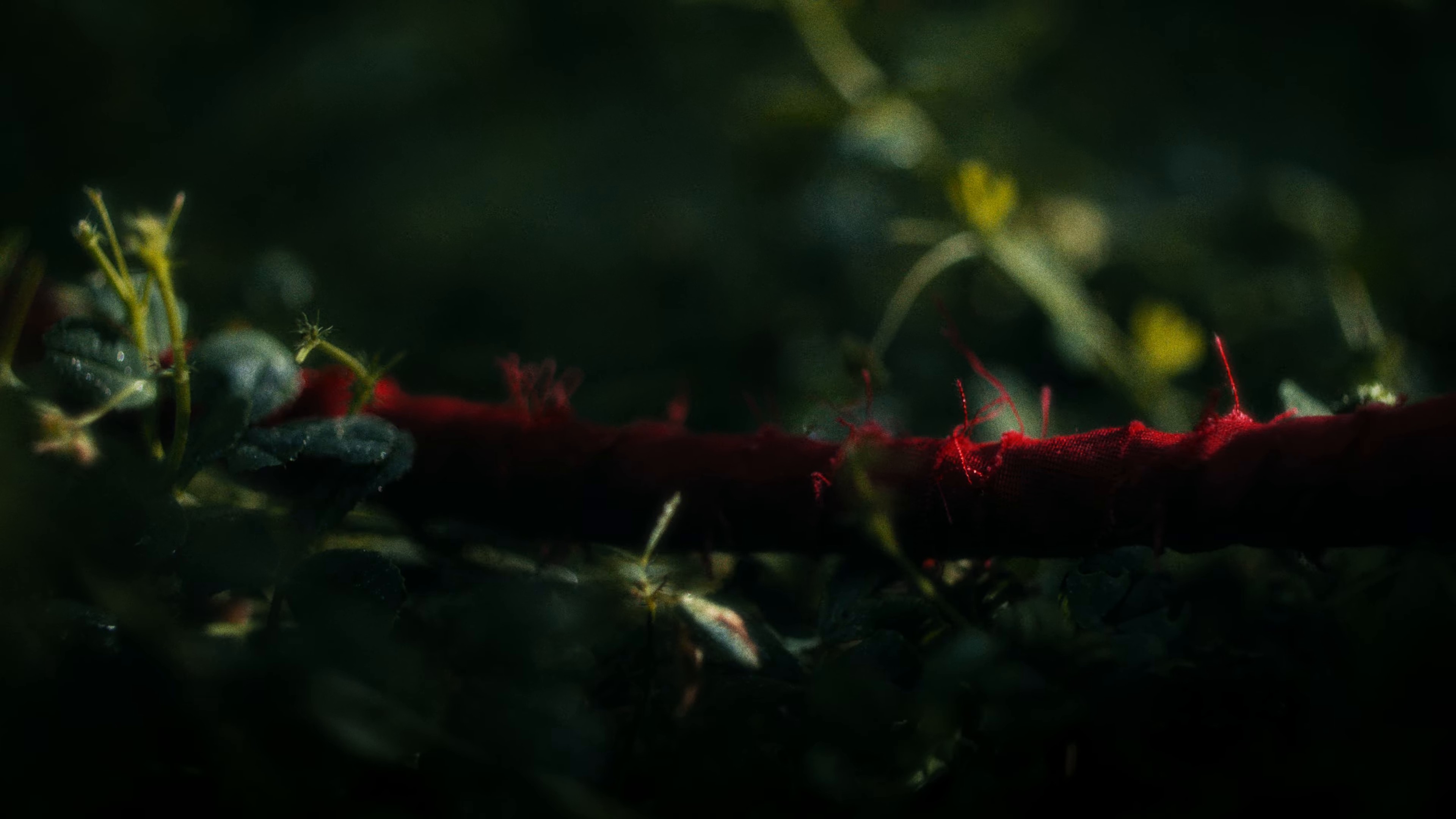 Last Time We Never Meet Again (2024) —  shot,  lighting