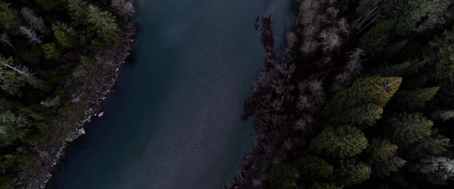 Bird Box (2018) —  shot,  lighting