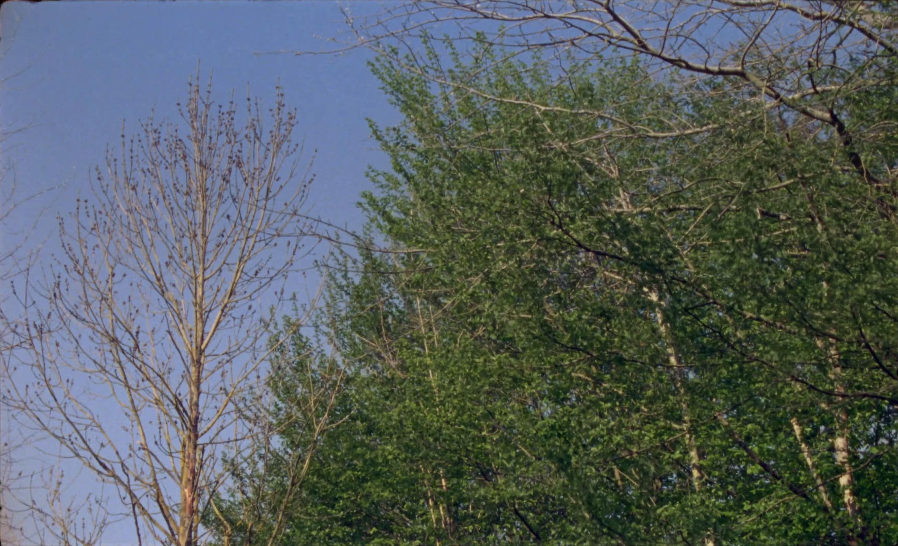 Good to know (2025) —  shot,  lighting