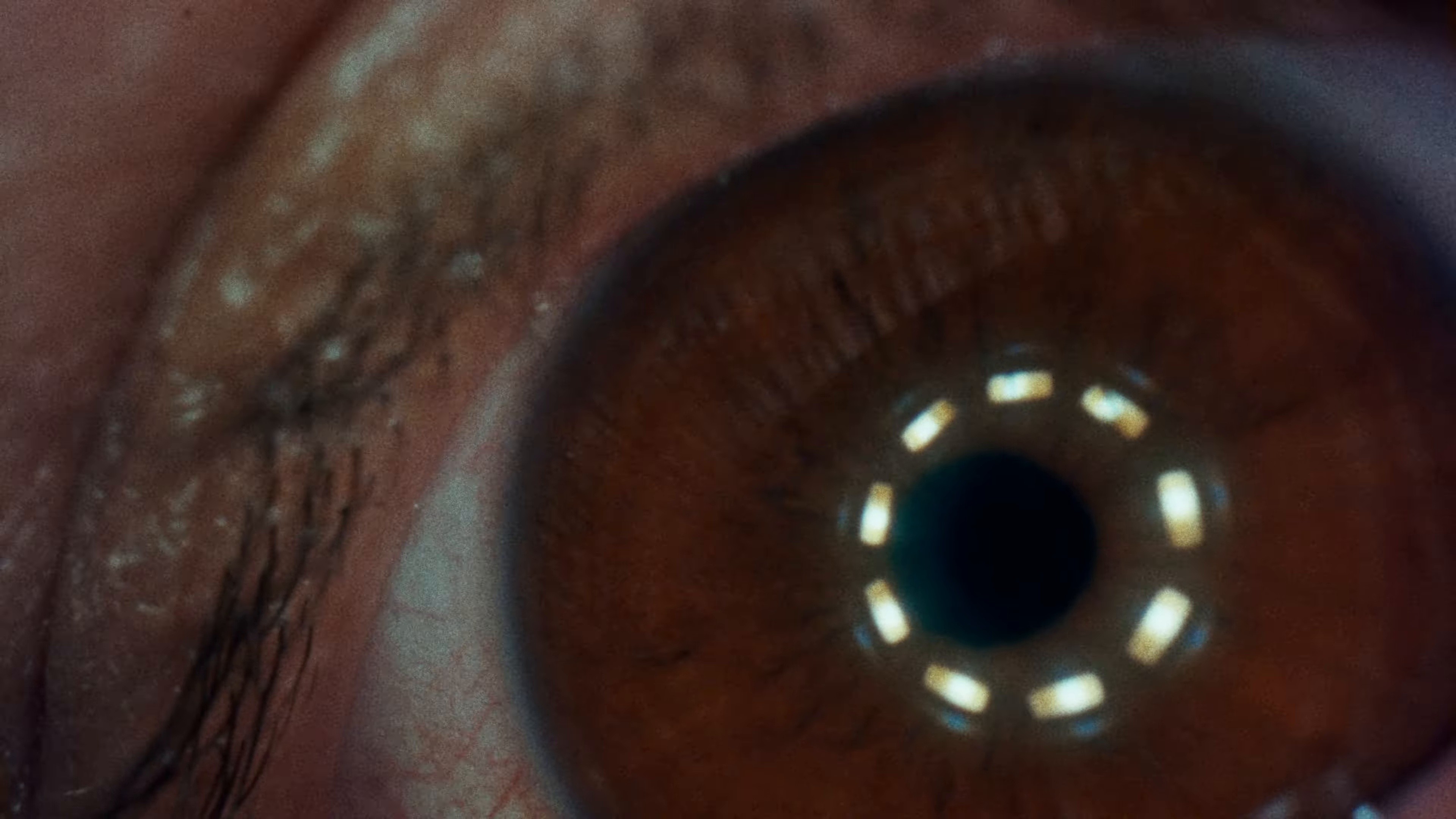 THE BEAUTY OF IT ALL (2024) —  shot,  lighting