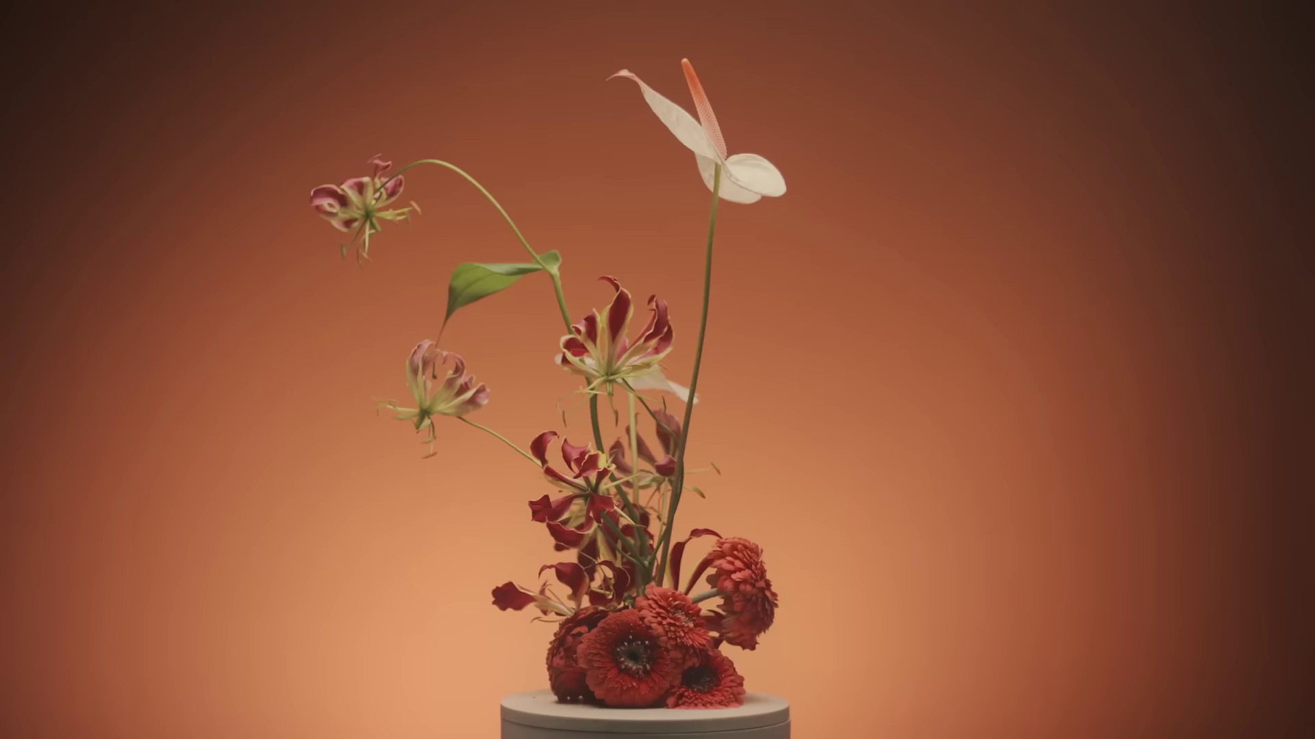 De couleurs vives  (2022) —  shot,  lighting