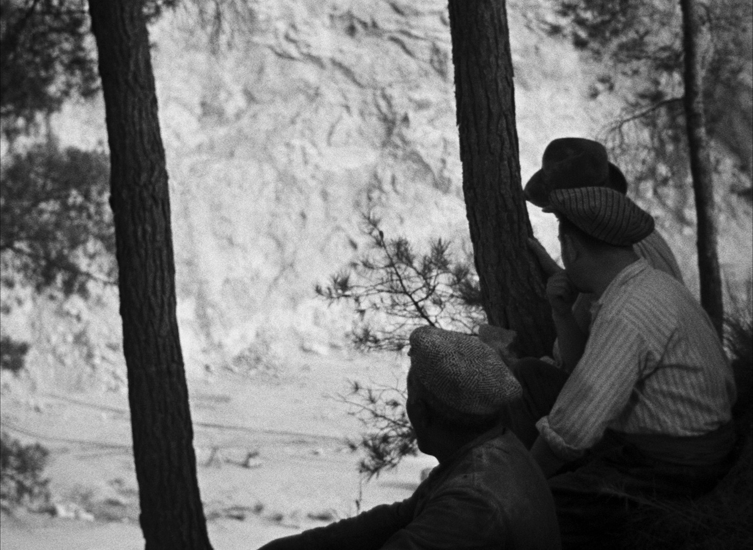 Toni (1935) —  shot,  lighting