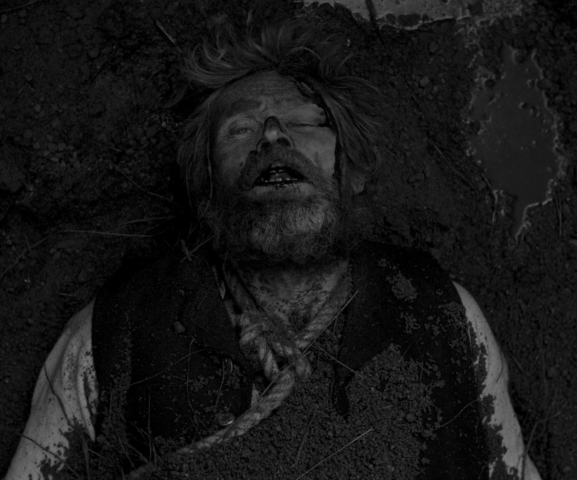 The Lighthouse (2019) —  shot,  lighting