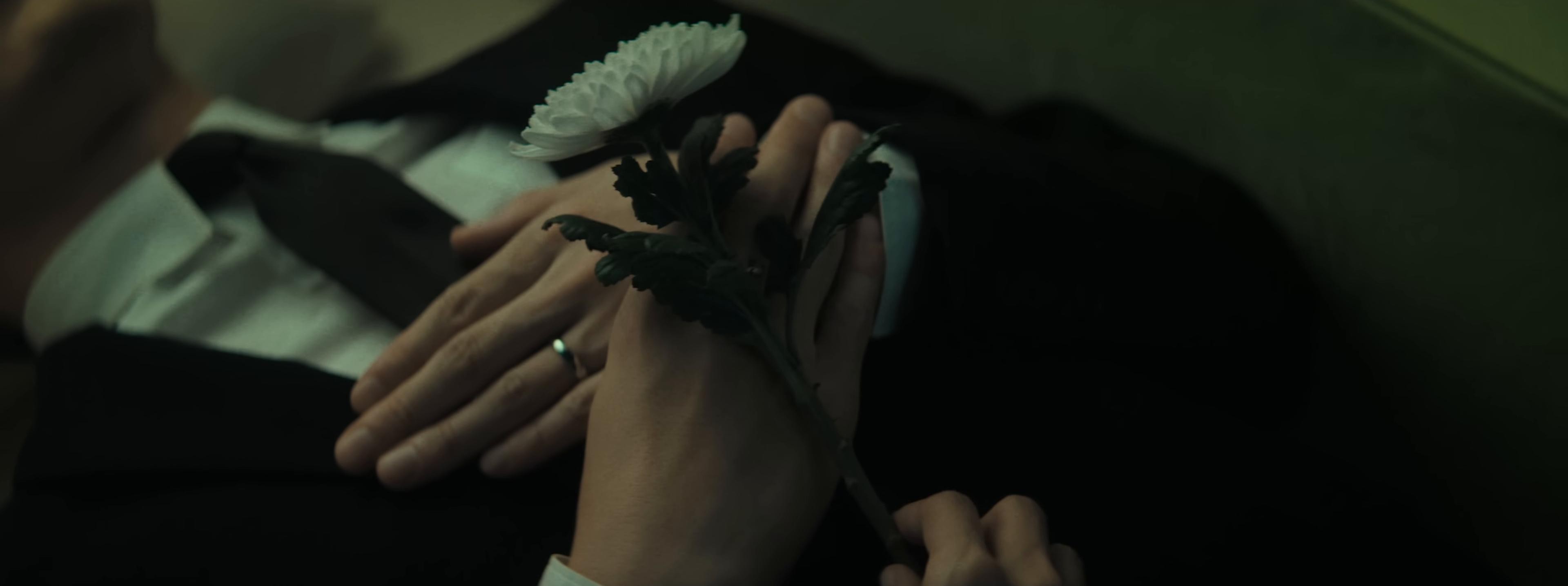 DREAM (2025) —  shot,  lighting