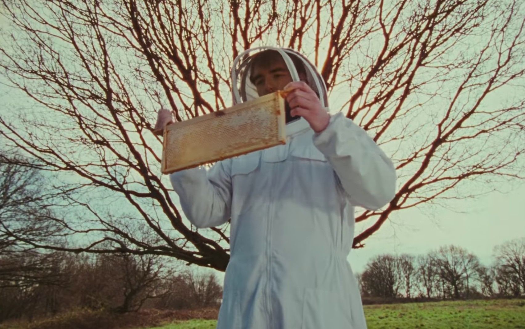 Beeswax (2022) —  shot,  lighting