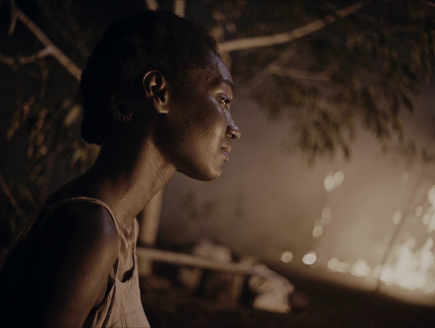 Parsley (2022) —  shot,  lighting