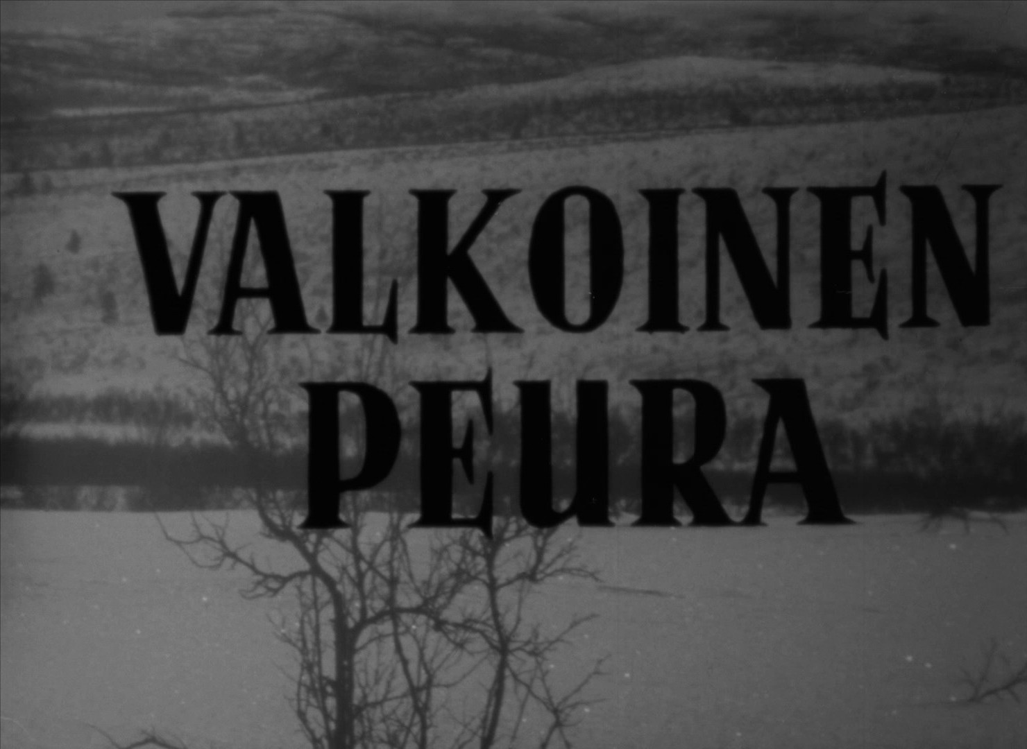 The White Reindeer (1952) —  shot,  lighting