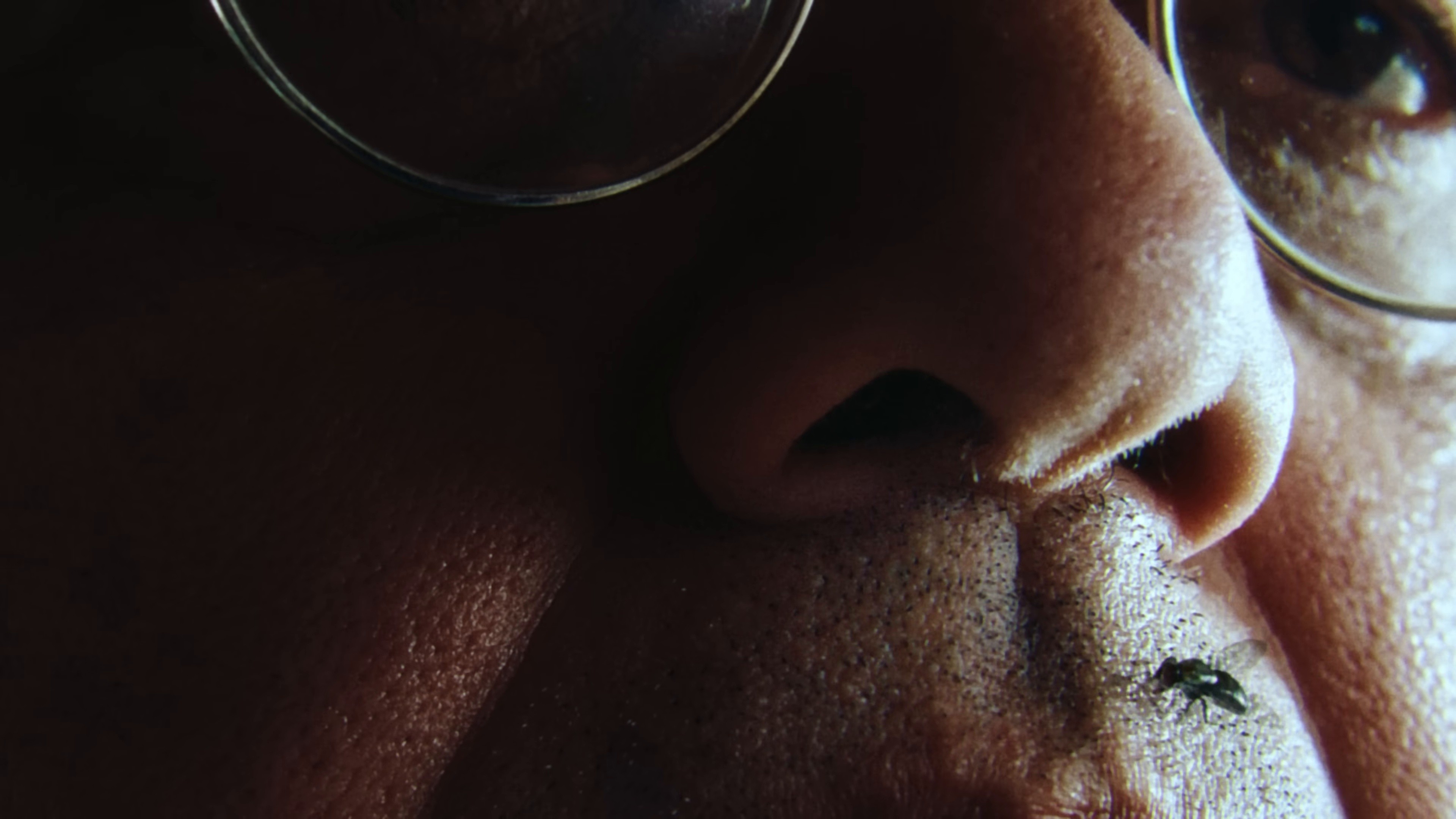 Young & Reckless (2025) —  shot,  lighting