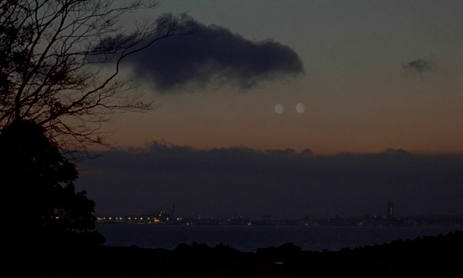 The Quiet Migration (2023) —  shot,  lighting