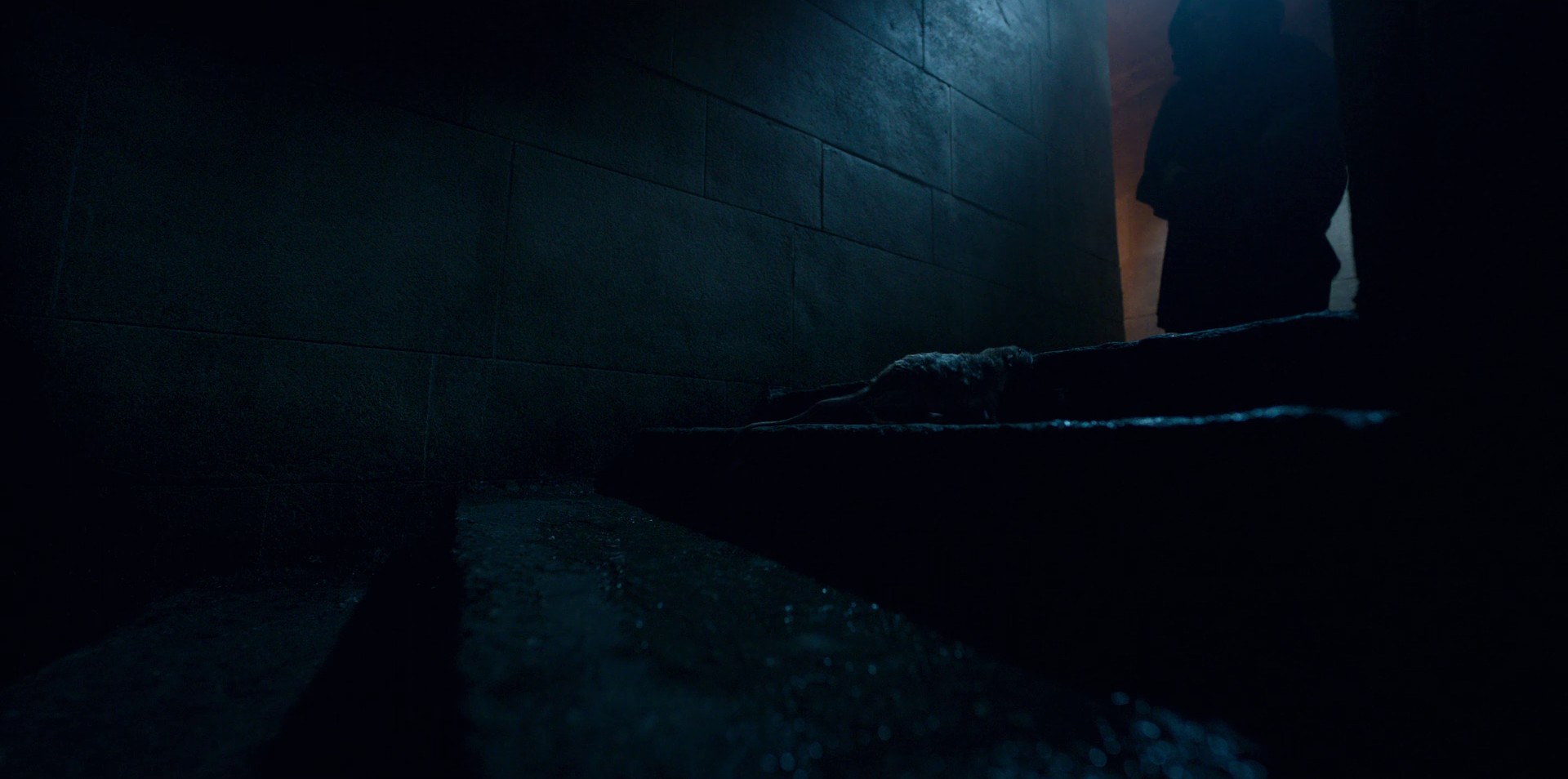 Turn Your Back (2021) —  shot,  lighting