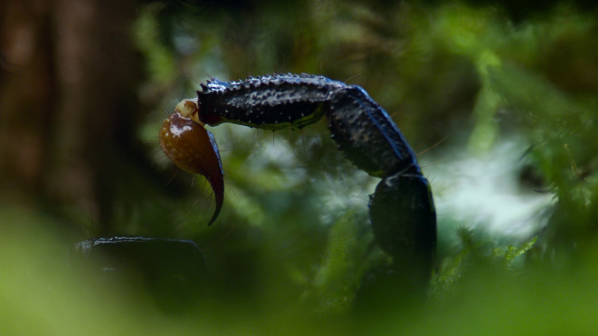 Invaders of the Land (2023) —  shot,  lighting