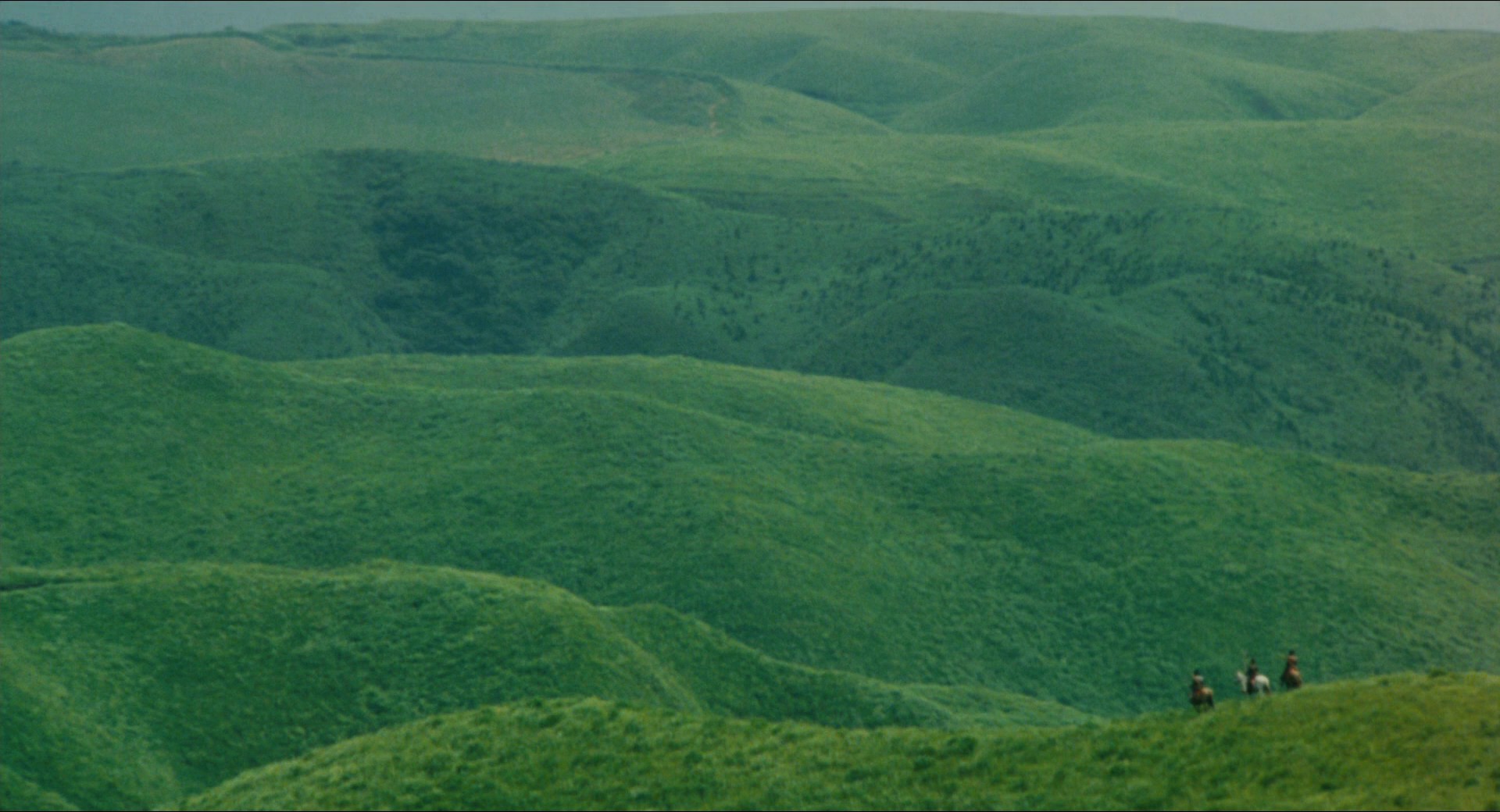 Ran (1985) —  shot,  lighting