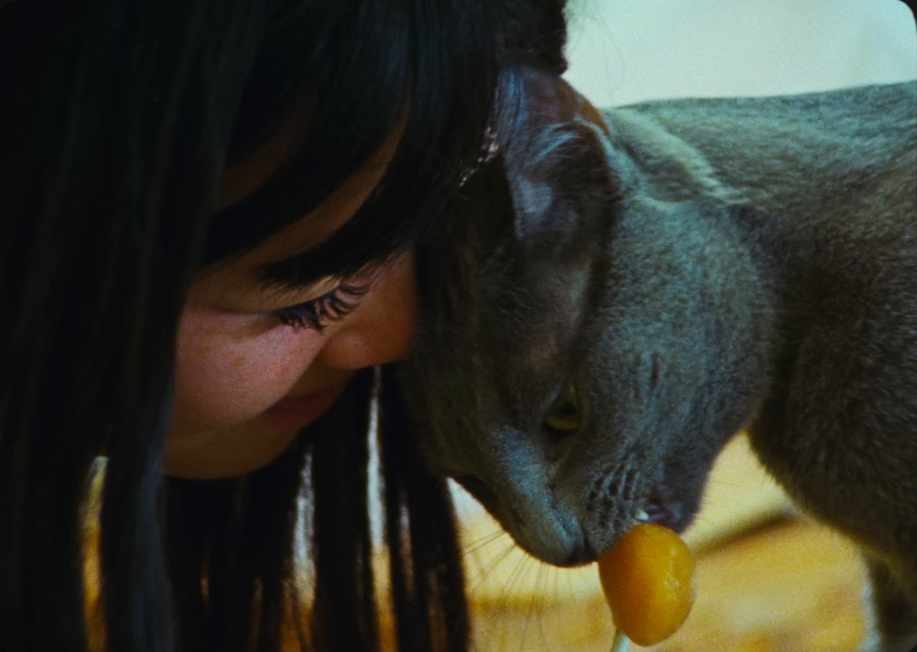 Ever Seen (2024) —  shot,  lighting