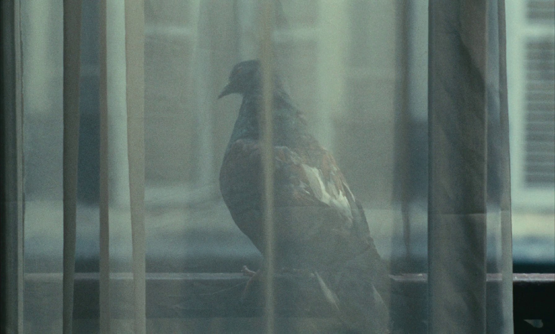 Juliet in Paris (1967) —  shot,  lighting